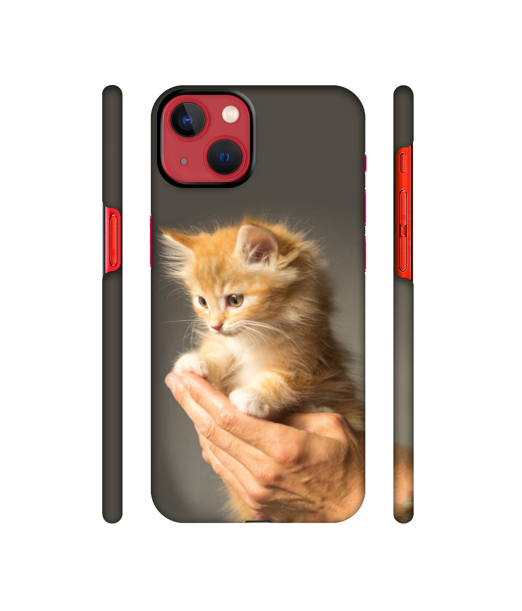 Cute Kitten Designer Hard Back Cover for Apple iPhone 13