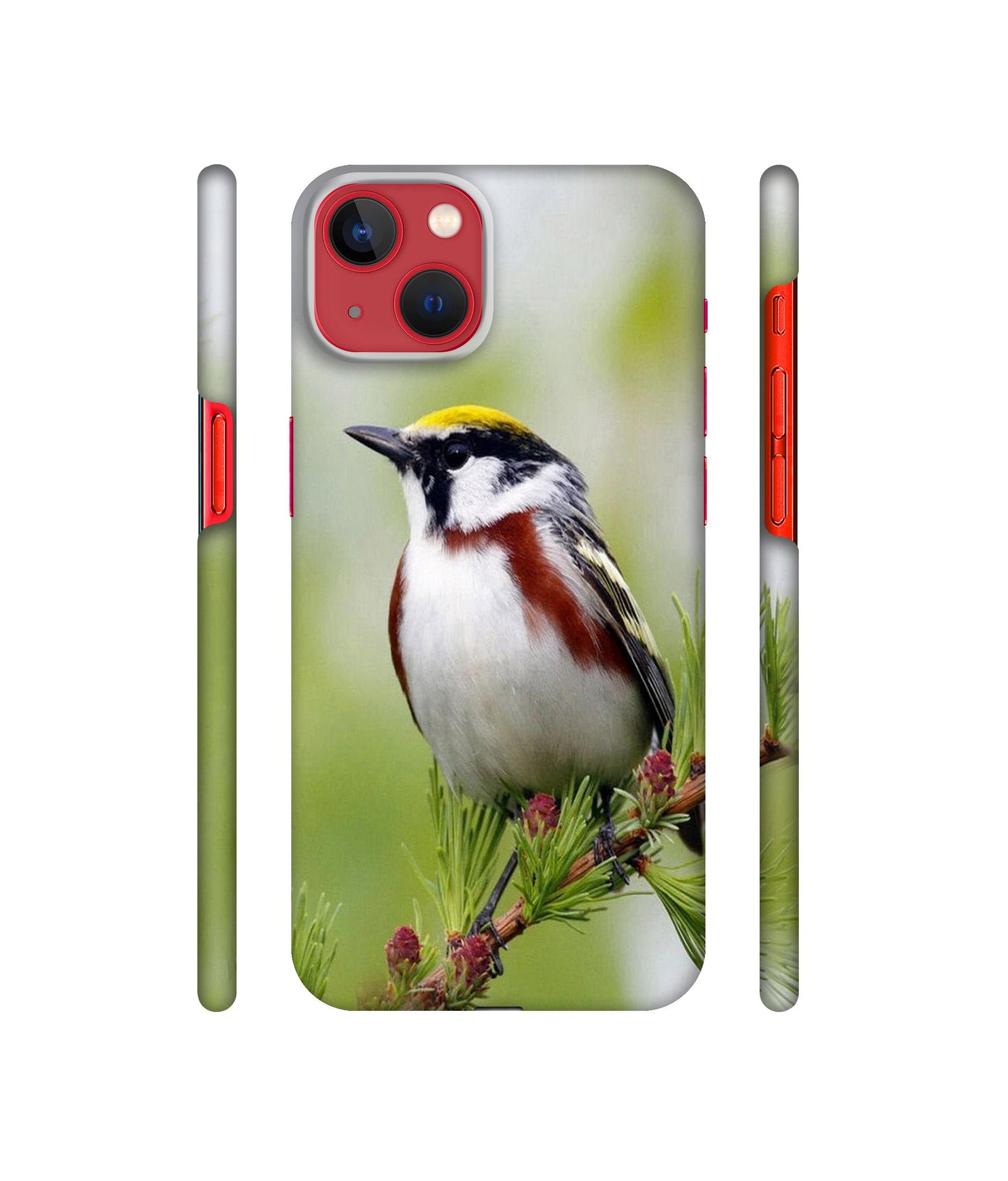 Bird Pattern Designer Hard Back Cover for Apple iPhone 13