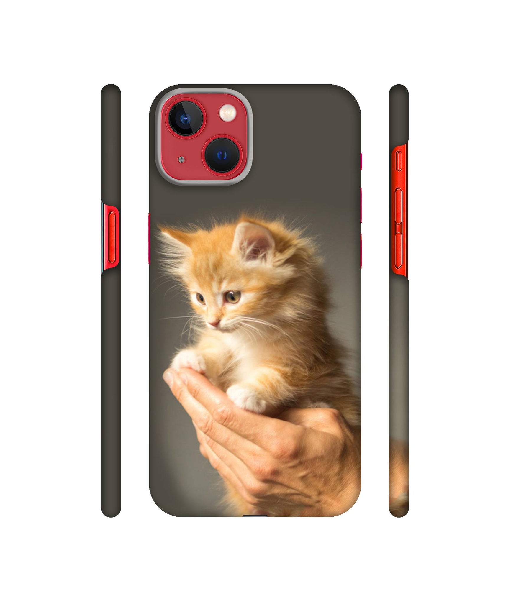 Cute Kitten Designer Hard Back Cover for Apple iPhone 13