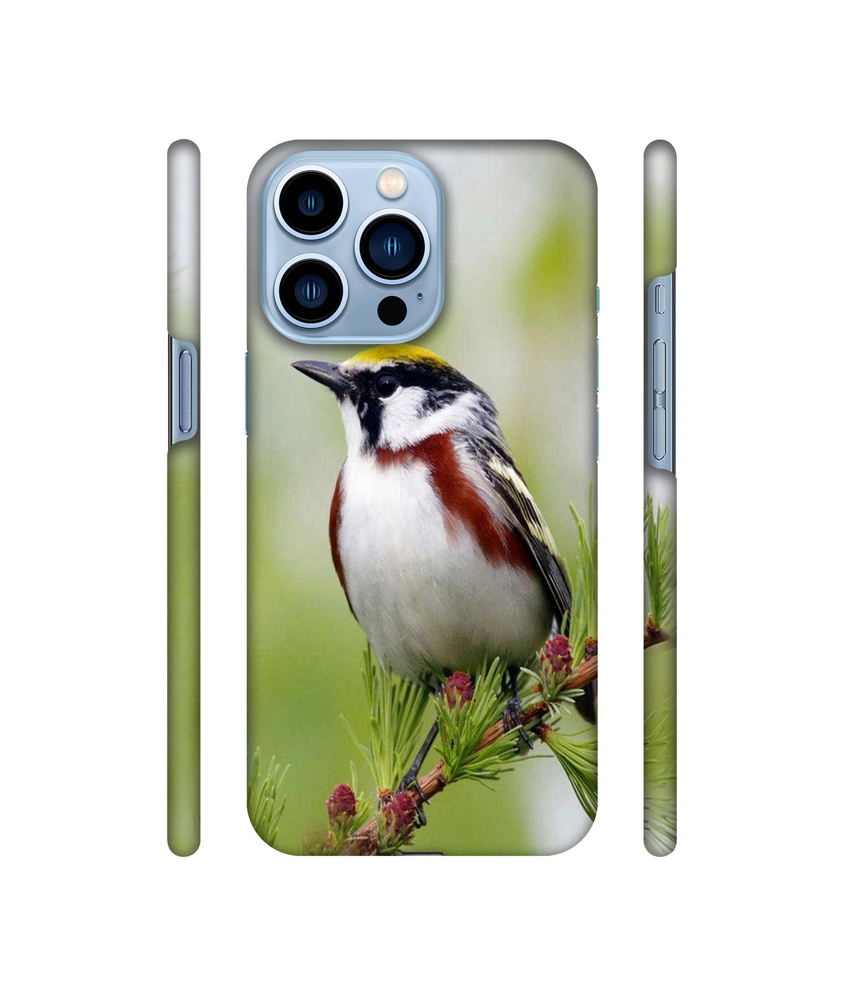 Bird Pattern Designer Hard Back Cover for Apple iPhone 13 Pro