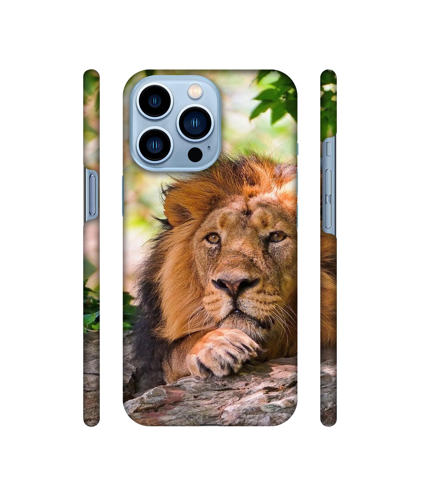 Tiger Pattern Print Designer Hard Back Cover for Apple iPhone 13 Pro