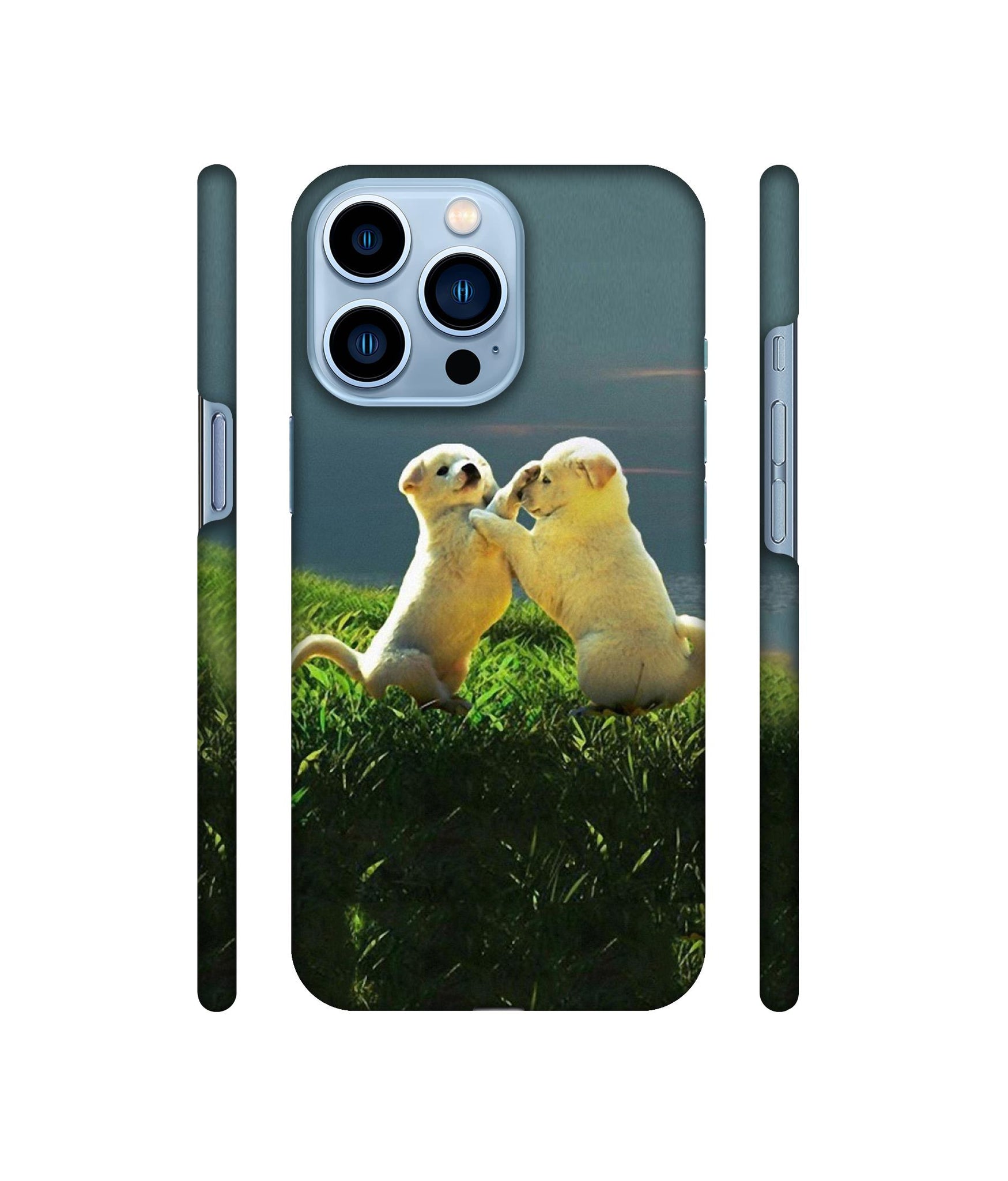 Puppy Couple Sunset Designer Hard Back Cover for Apple iPhone 13 Pro