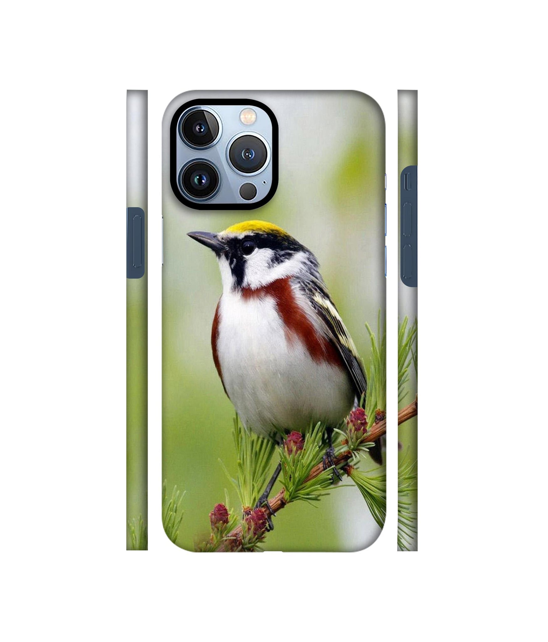 Bird Pattern Designer Hard Back Cover for Apple iPhone 13 Pro