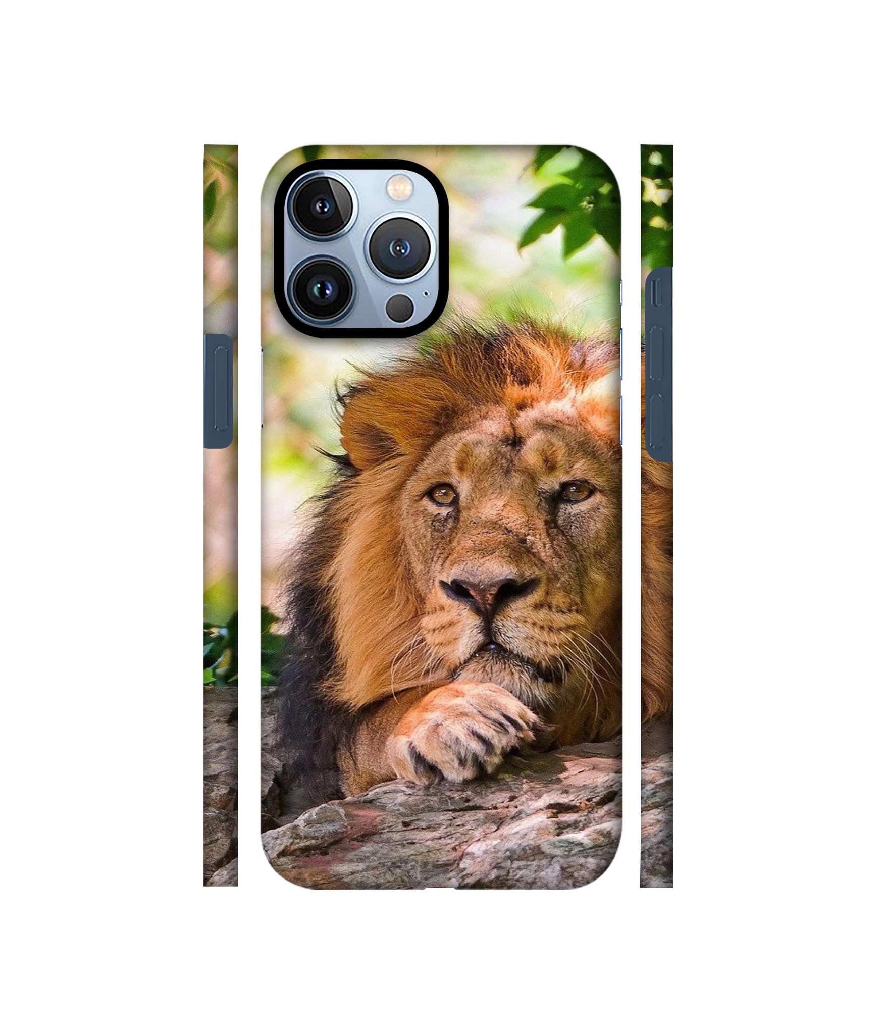 Tiger Pattern Print Designer Hard Back Cover for Apple iPhone 13 Pro