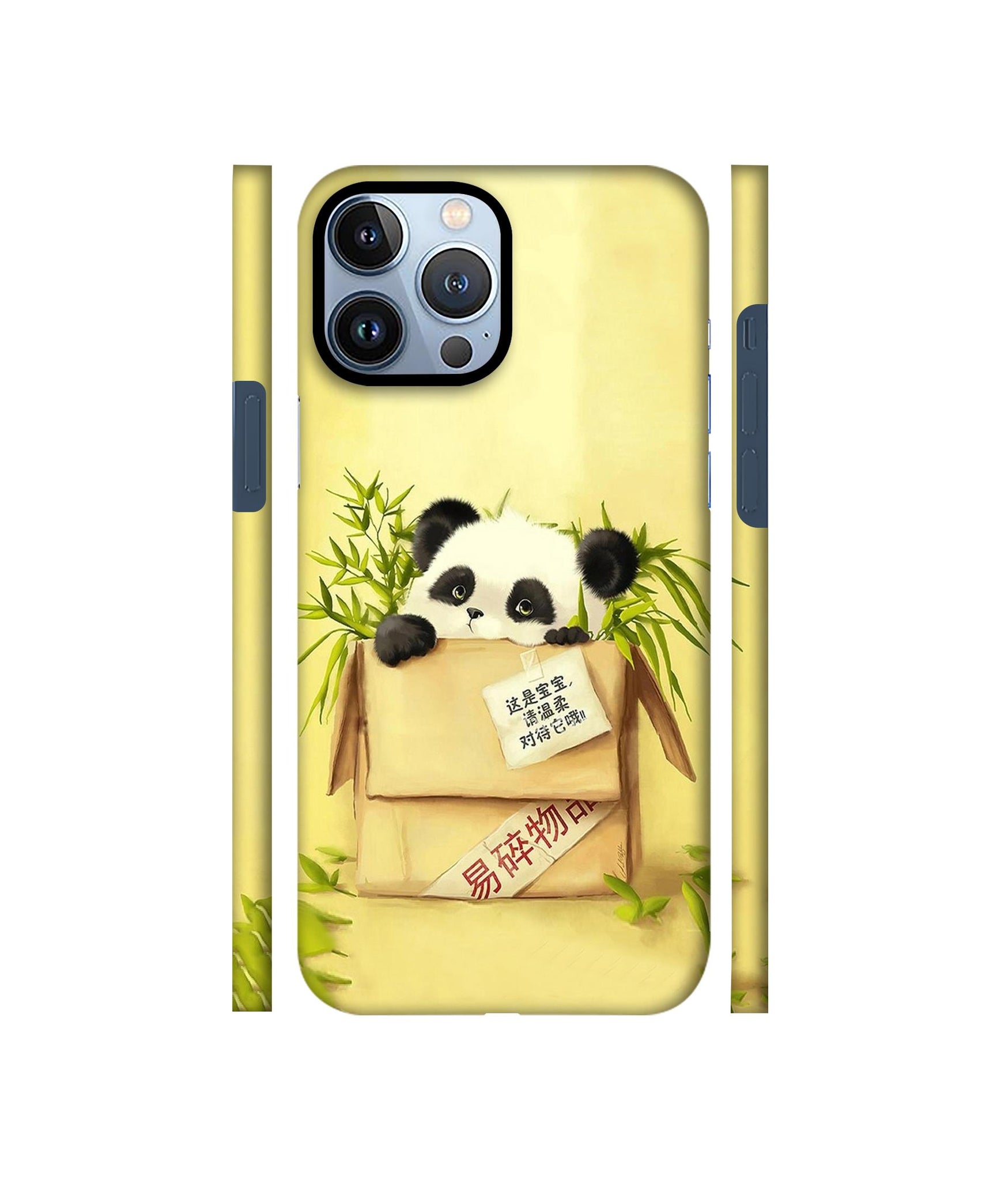 Panda In Box Designer Hard Back Cover for Apple iPhone 13 Pro