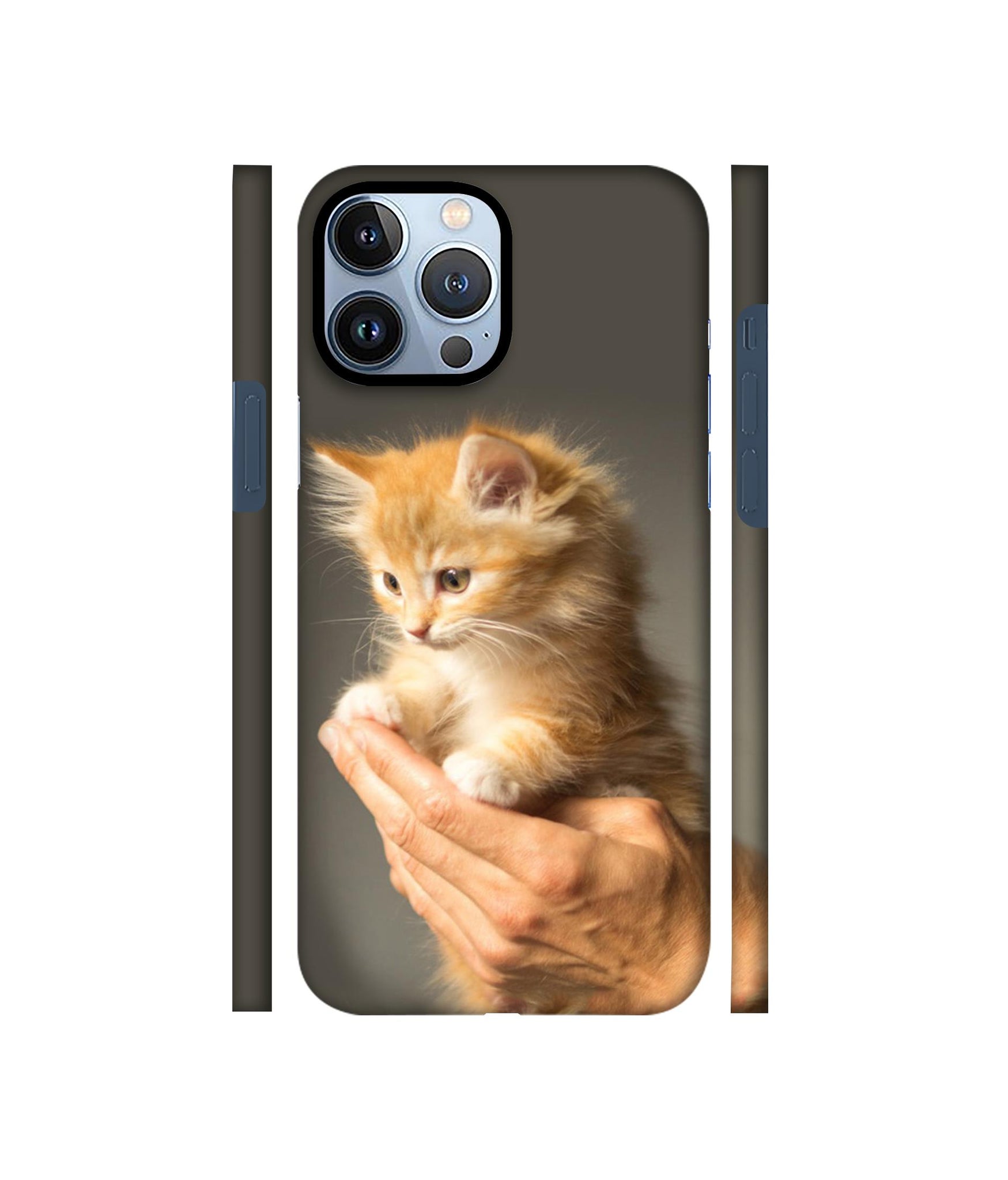 Cute Kitten Designer Hard Back Cover for Apple iPhone 13 Pro