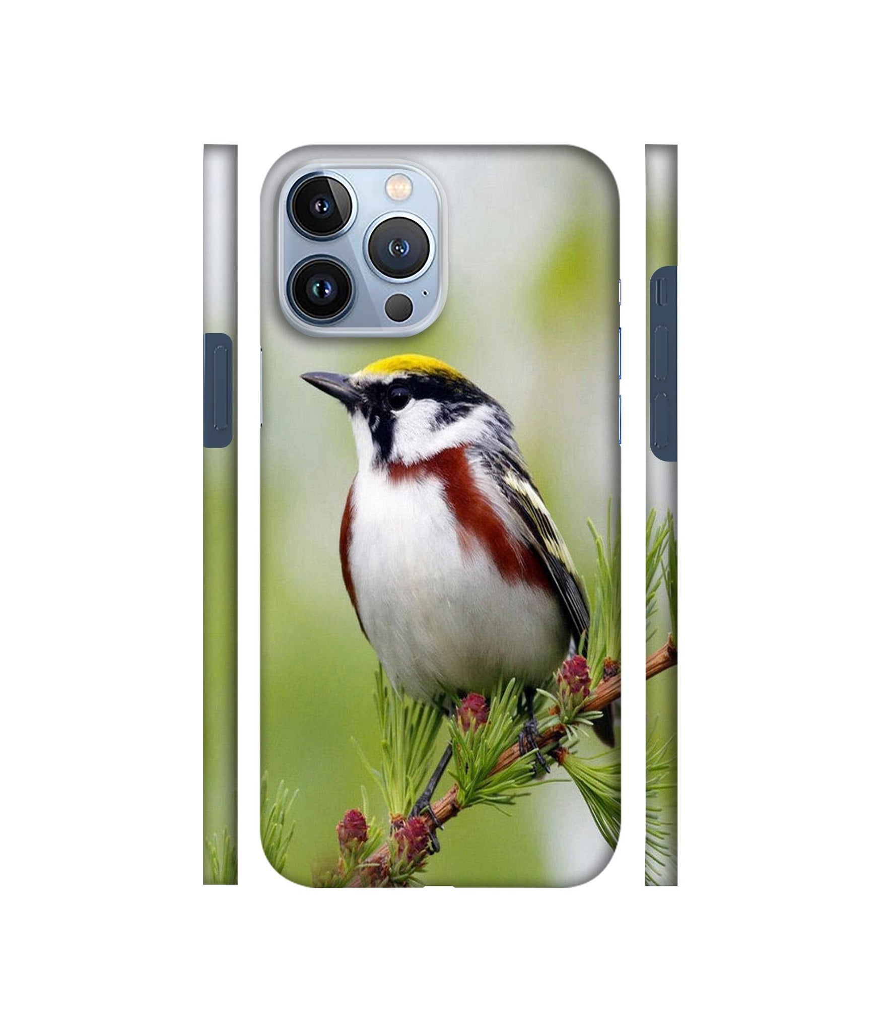 Bird Pattern Designer Hard Back Cover for Apple iPhone 13 Pro