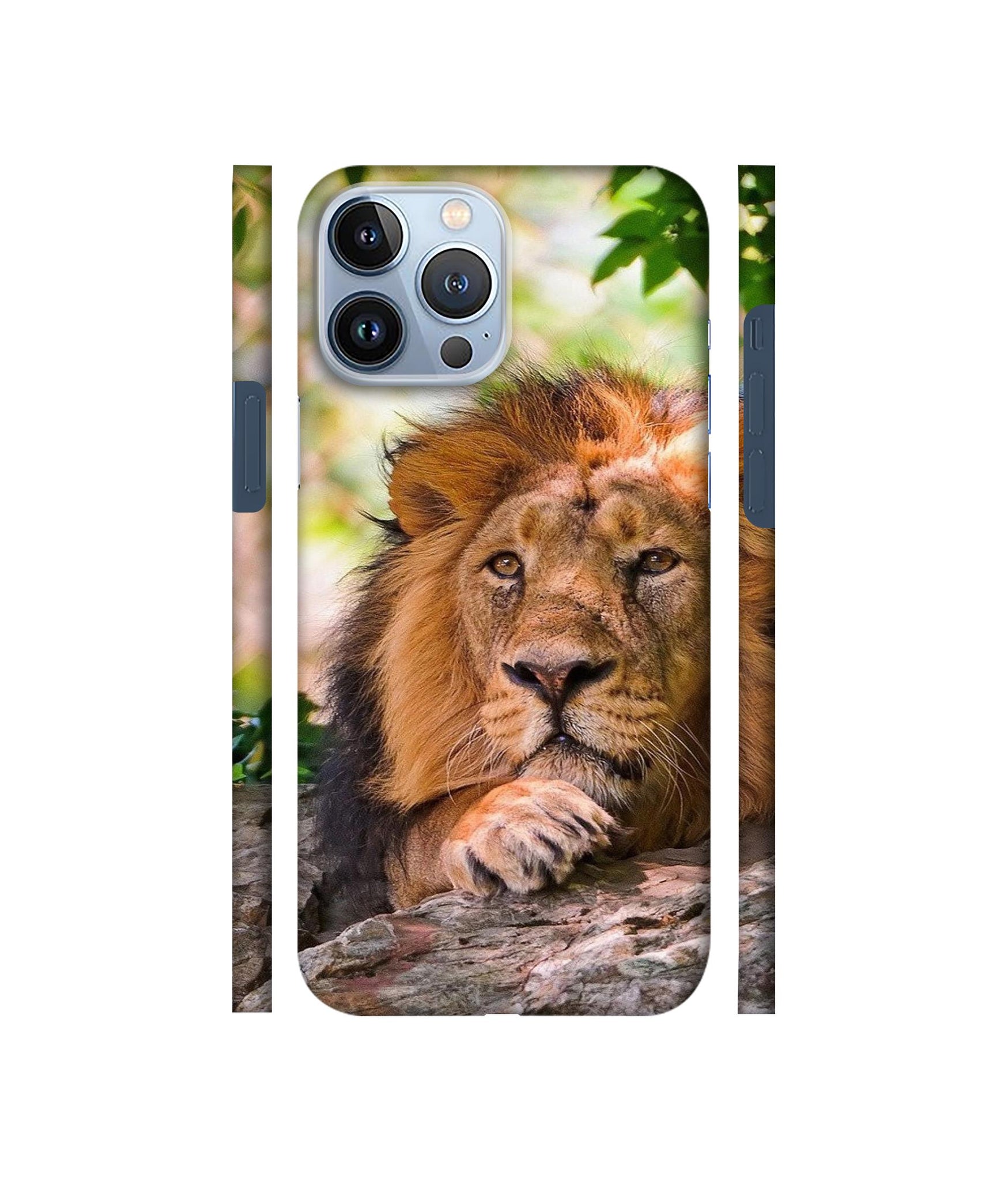 Tiger Pattern Print Designer Hard Back Cover for Apple iPhone 13 Pro