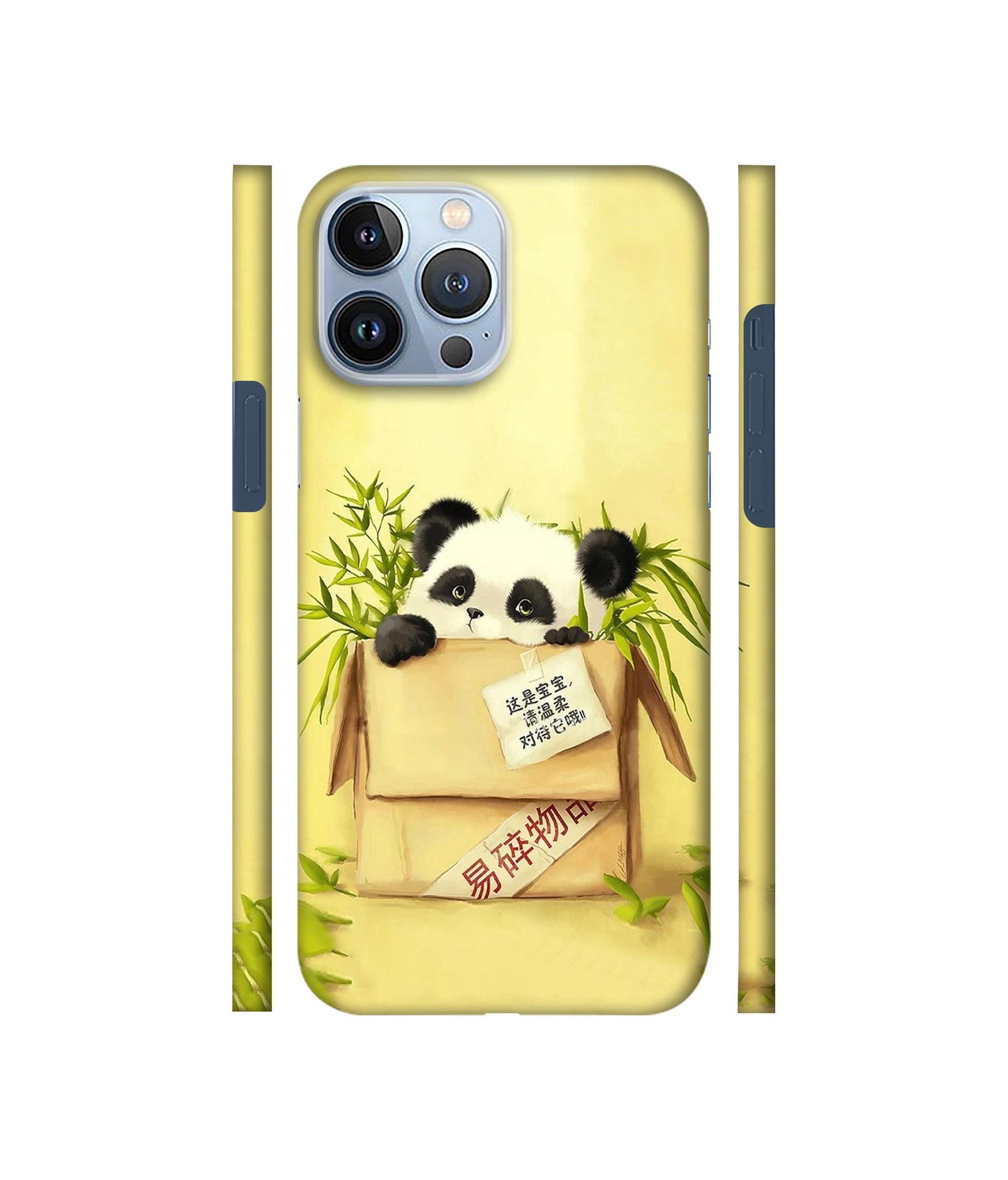 Panda In Box Designer Hard Back Cover for Apple iPhone 13 Pro