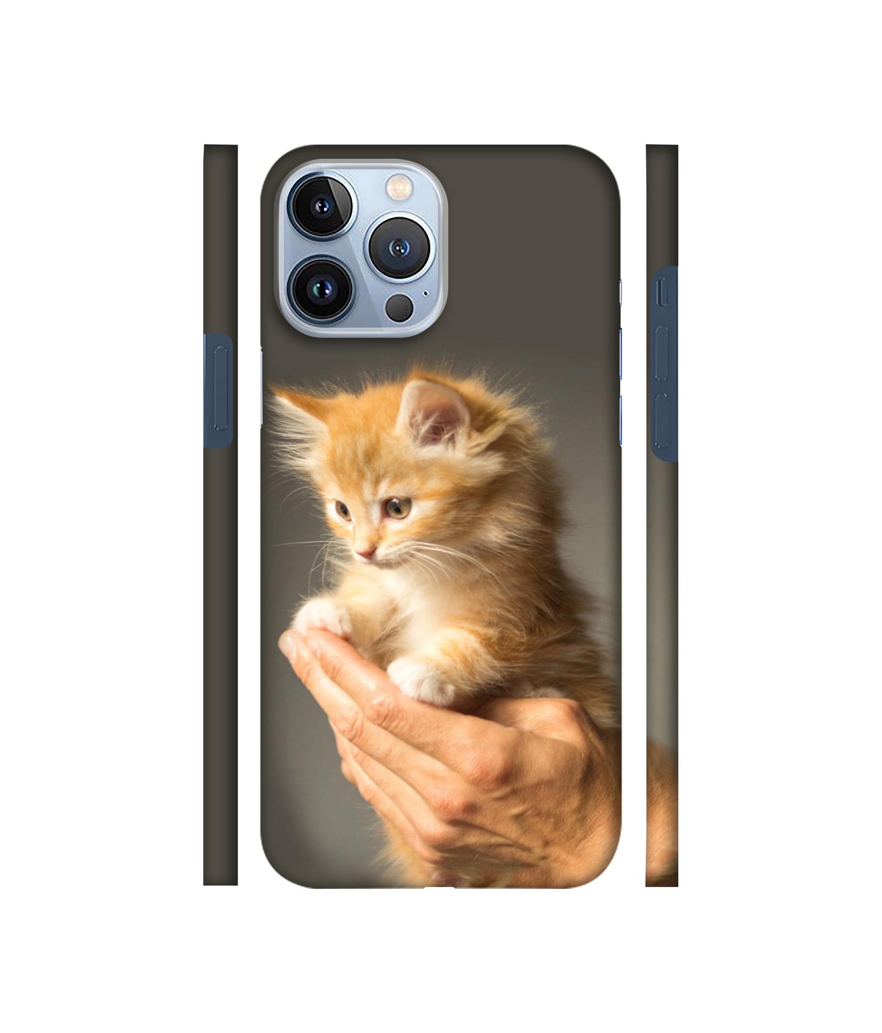 Cute Kitten Designer Hard Back Cover for Apple iPhone 13 Pro