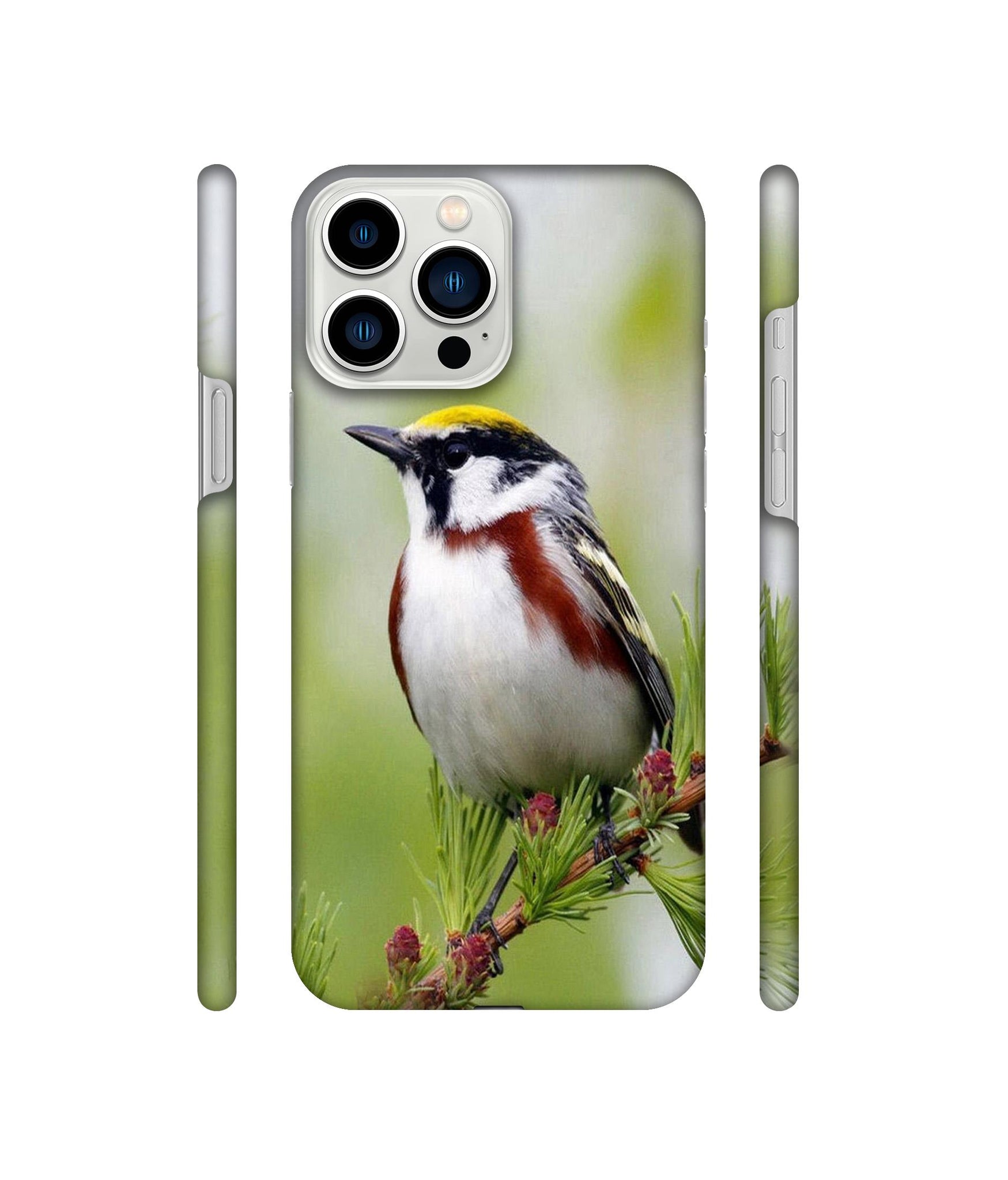 Bird Pattern Designer Hard Back Cover for Apple iPhone 13 Pro Max