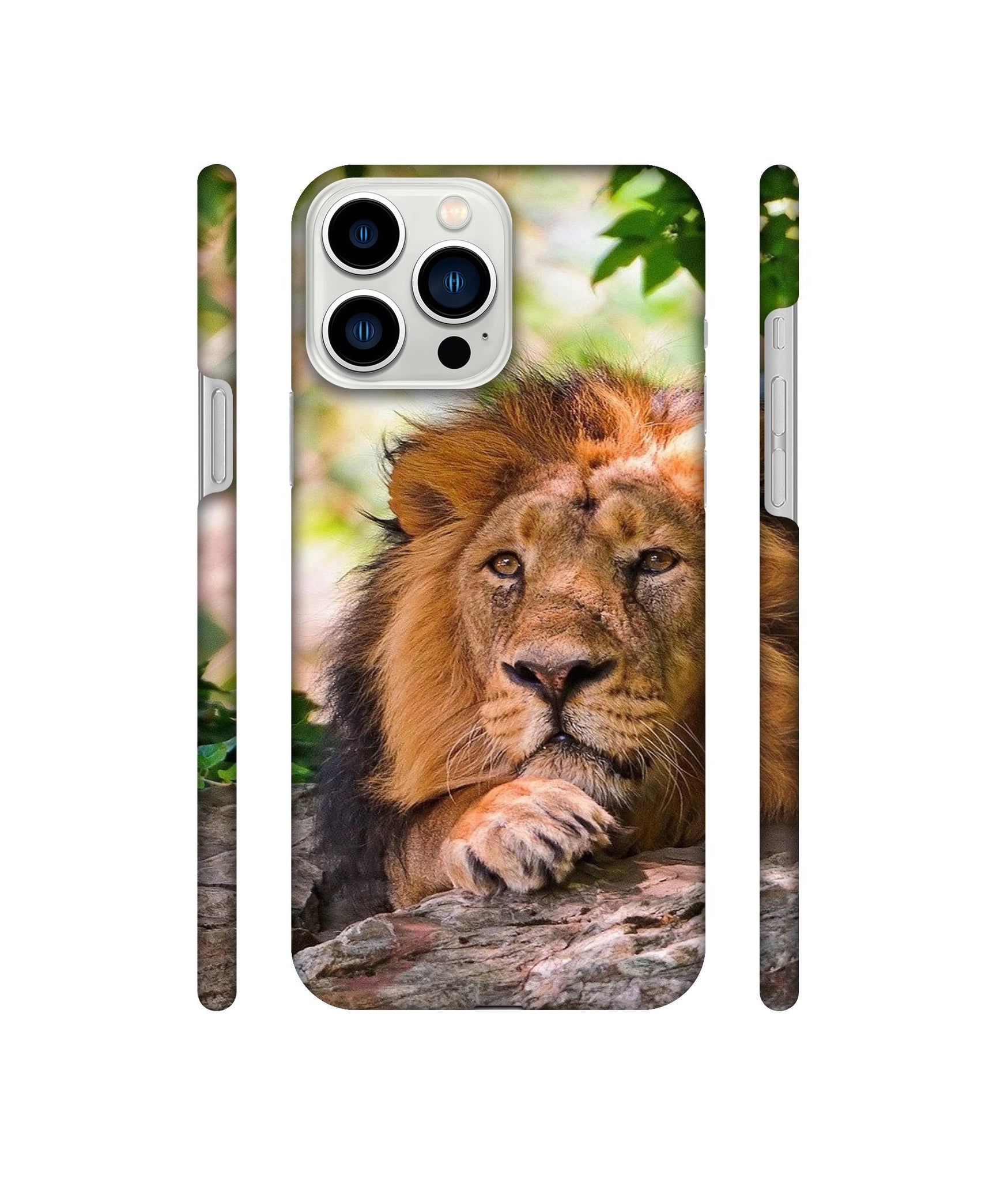 Tiger Pattern Print Designer Hard Back Cover for Apple iPhone 13 Pro Max