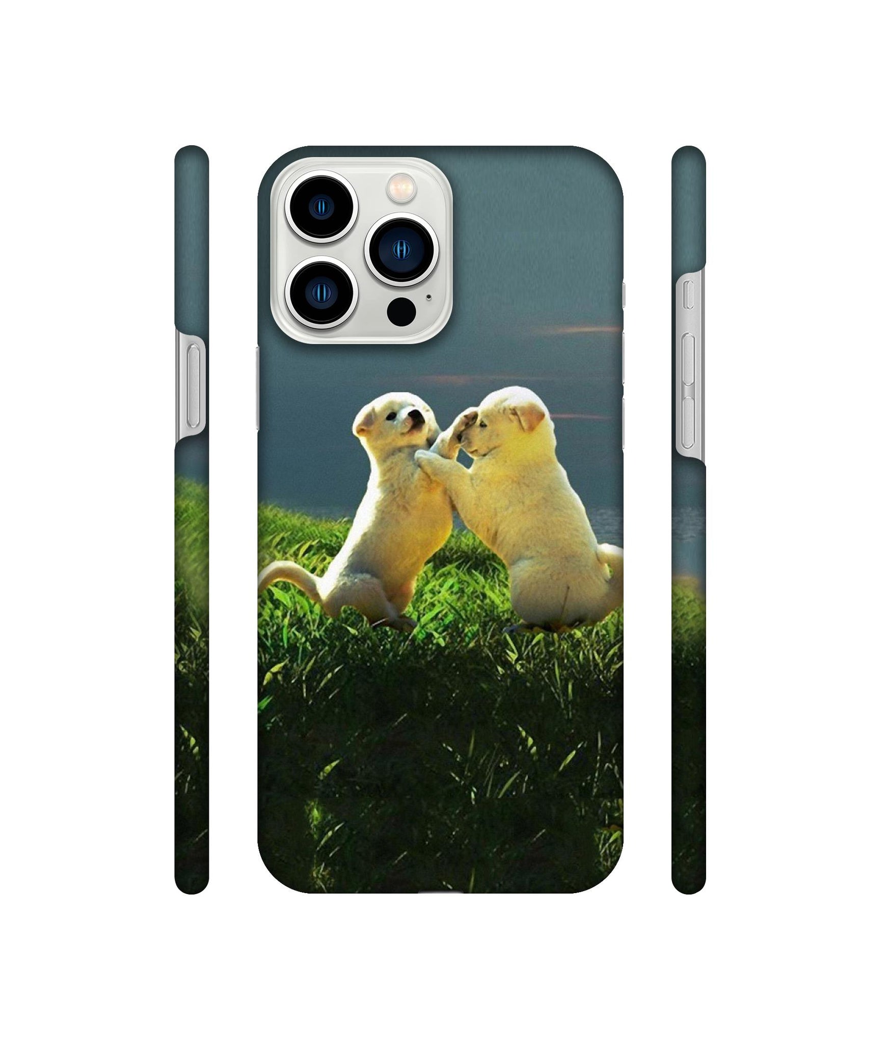 Puppy Couple Sunset Designer Hard Back Cover for Apple iPhone 13 Pro Max