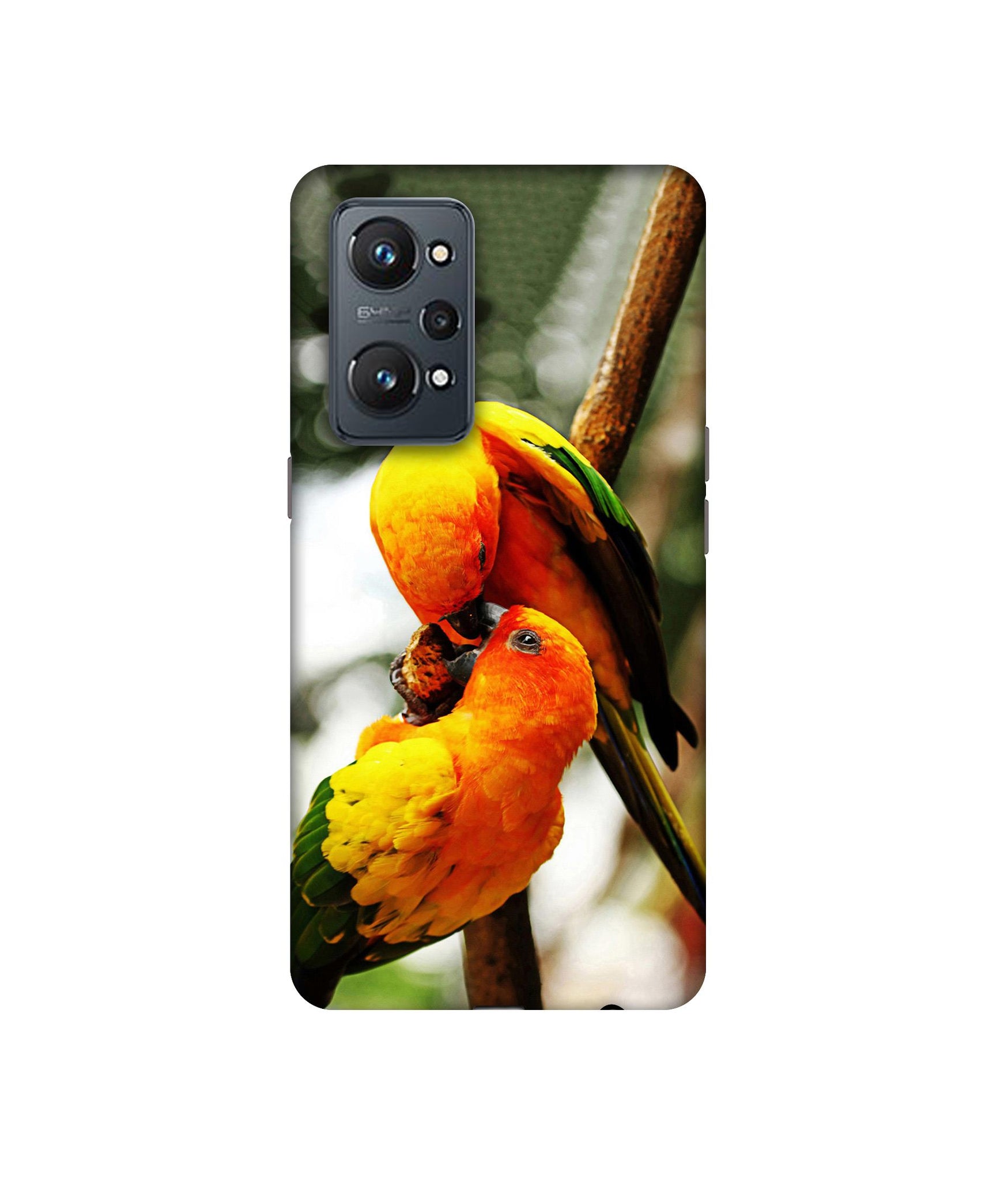 Realme GT Neo2