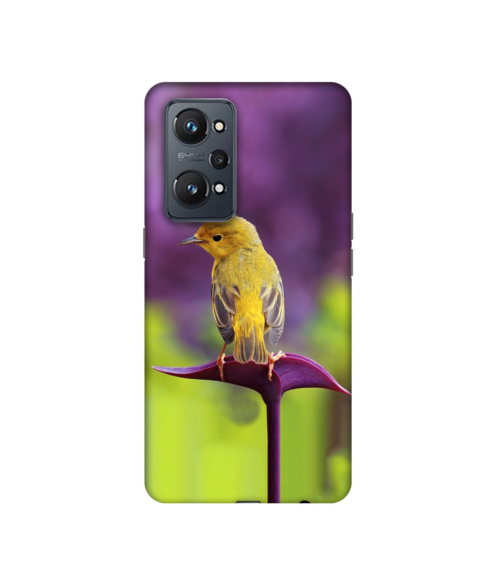 Realme GT Neo2
