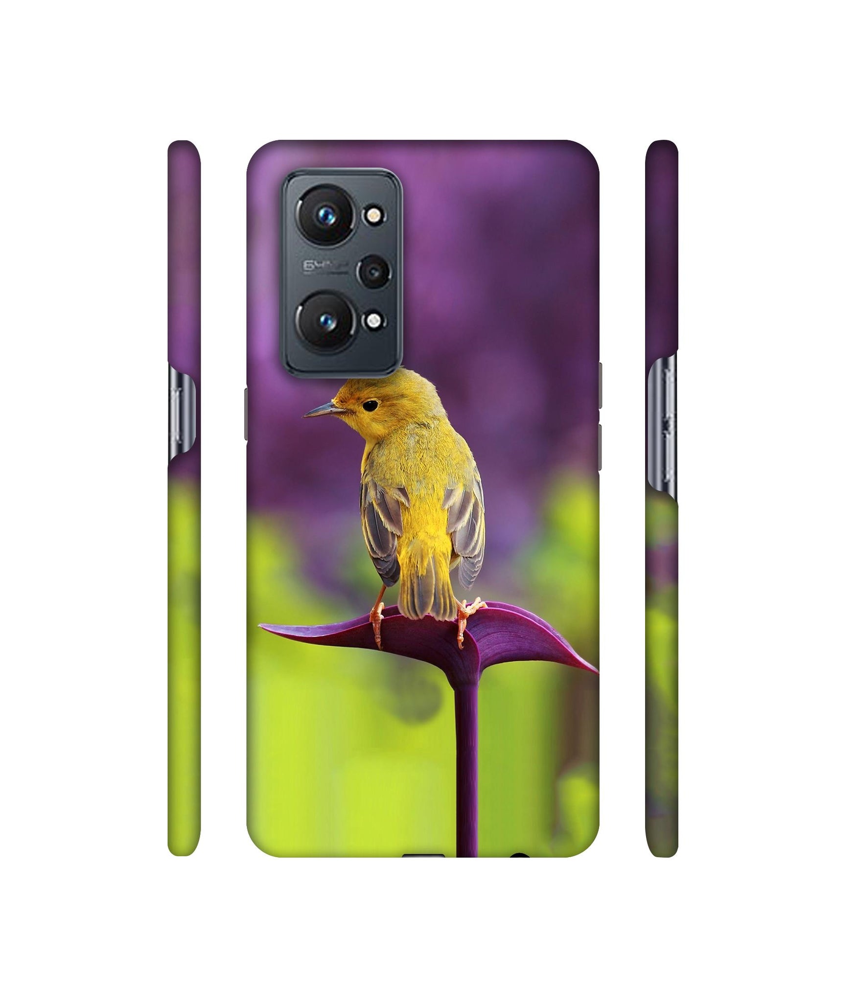 Little Bird Designer Hard Back Cover for Realme GT Neo2
