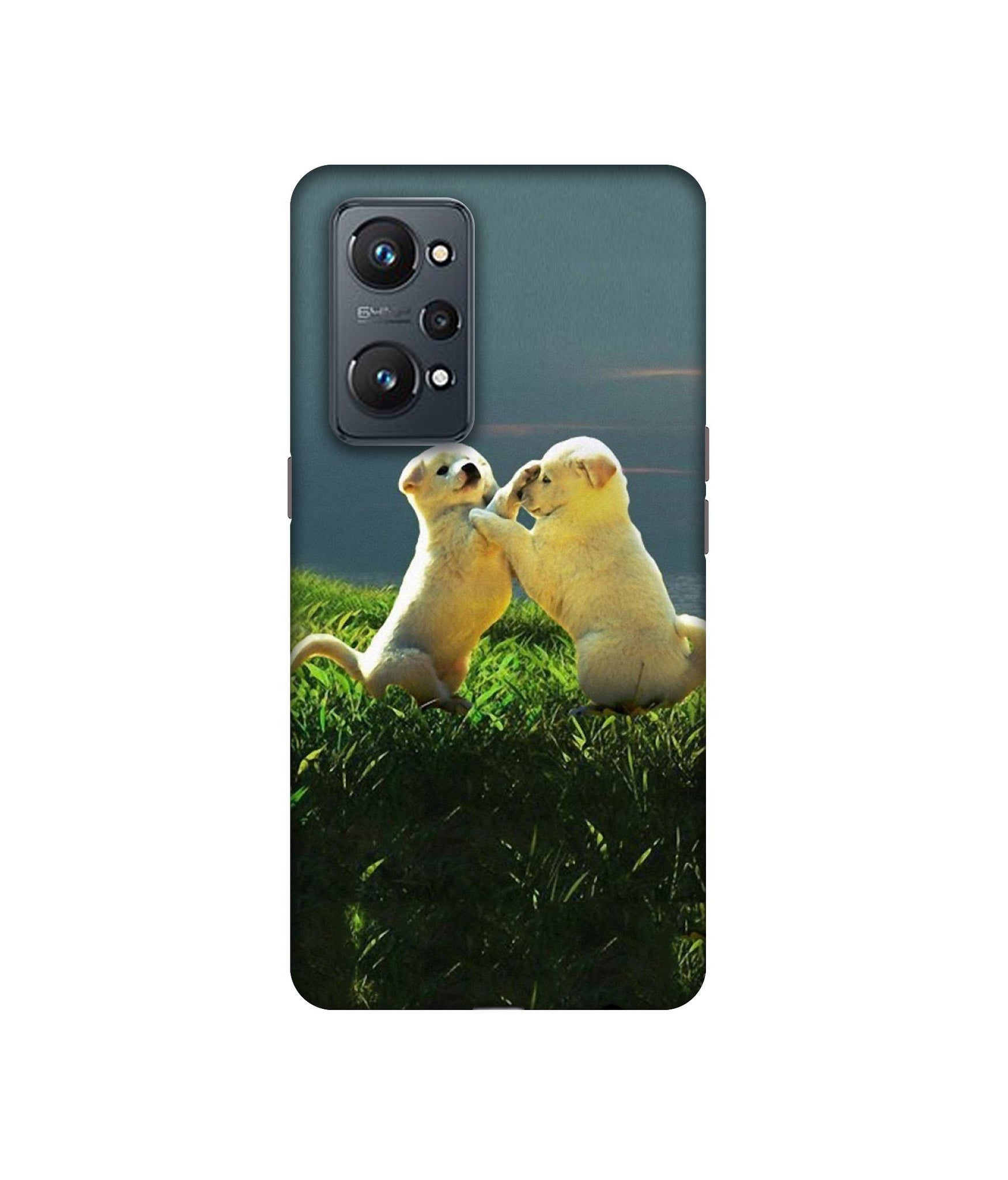 Realme GT Neo2