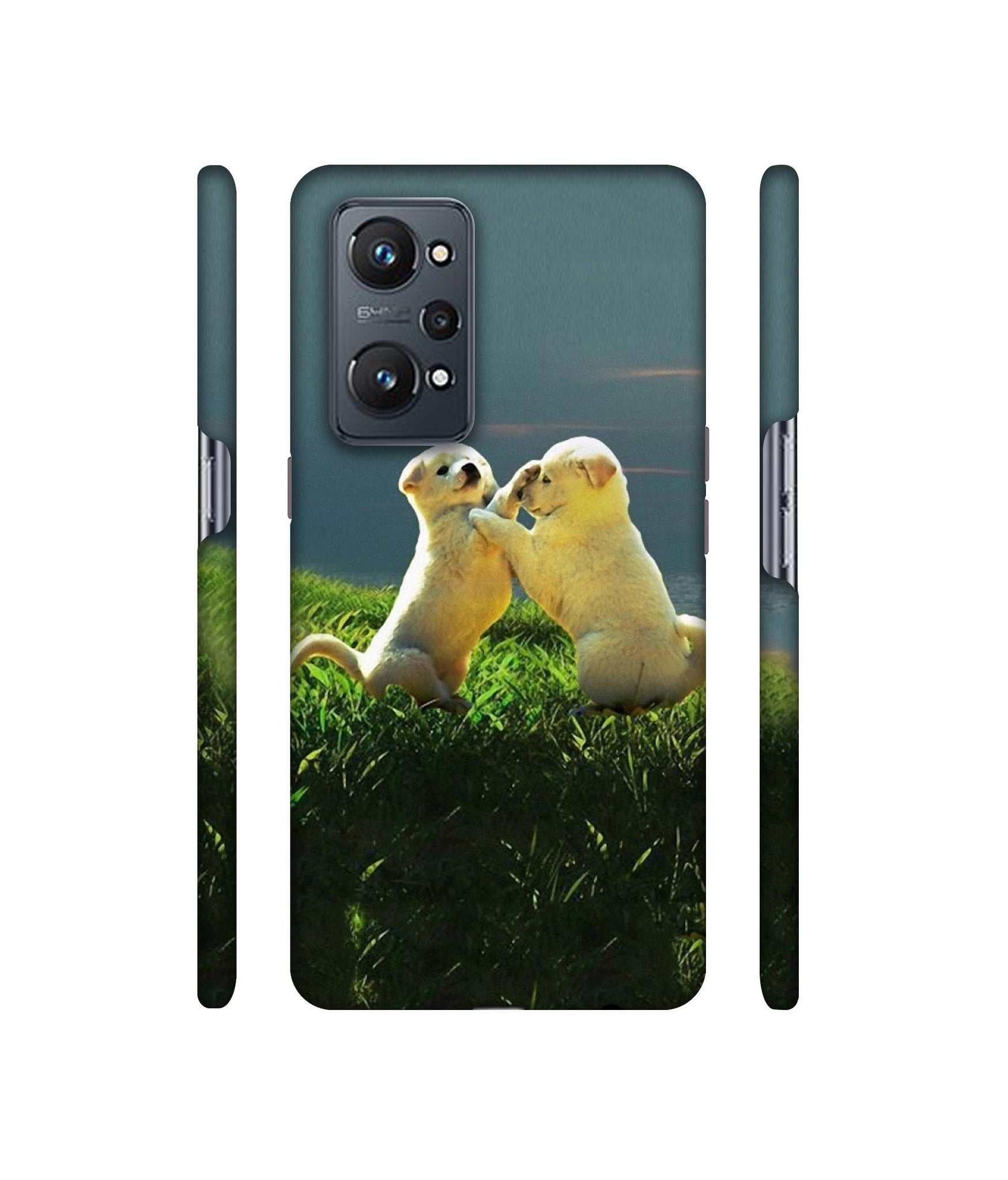 Puppy Couple Sunset Designer Hard Back Cover for Realme GT Neo2