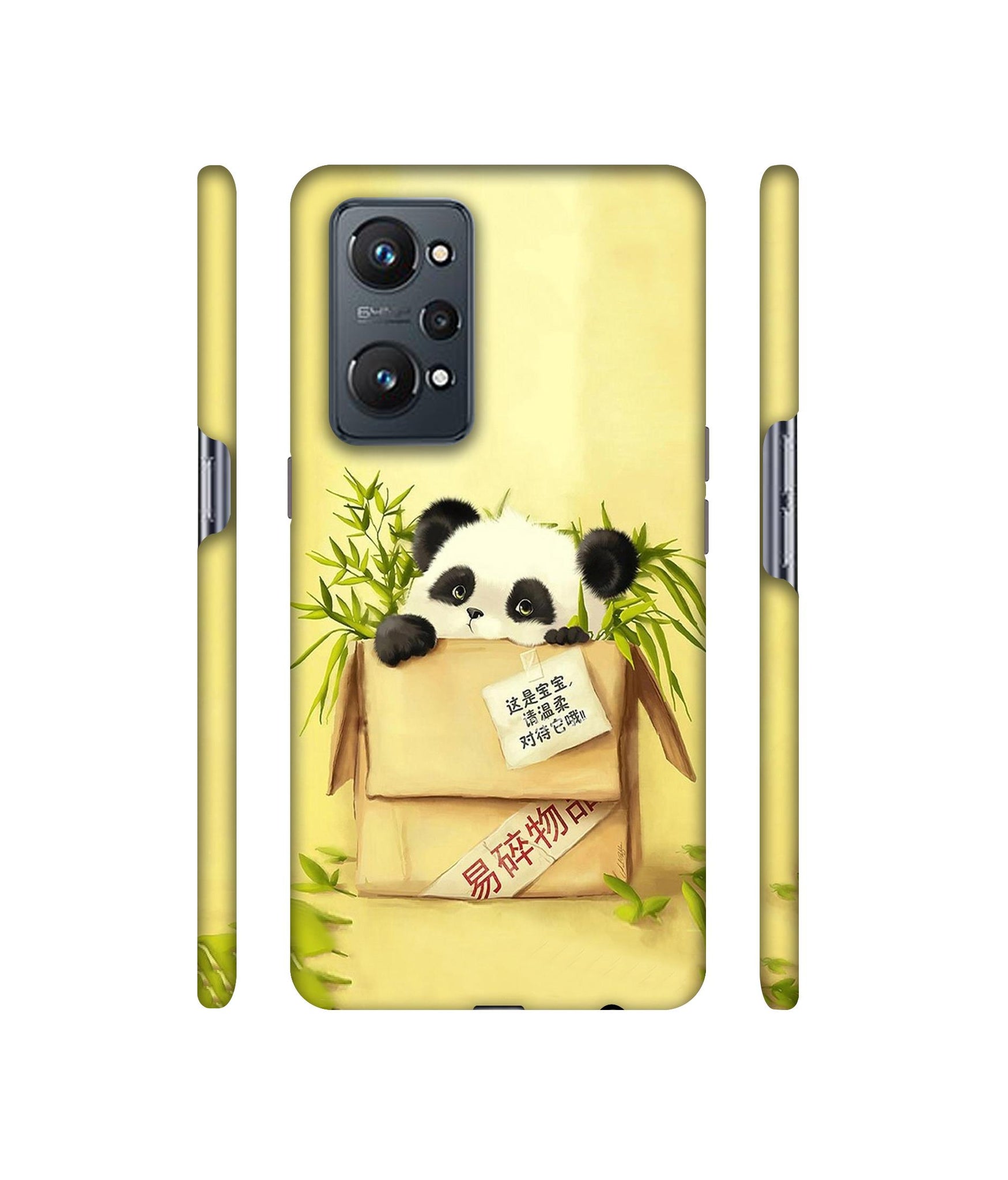 Panda In Box Designer Hard Back Cover for Realme GT Neo2