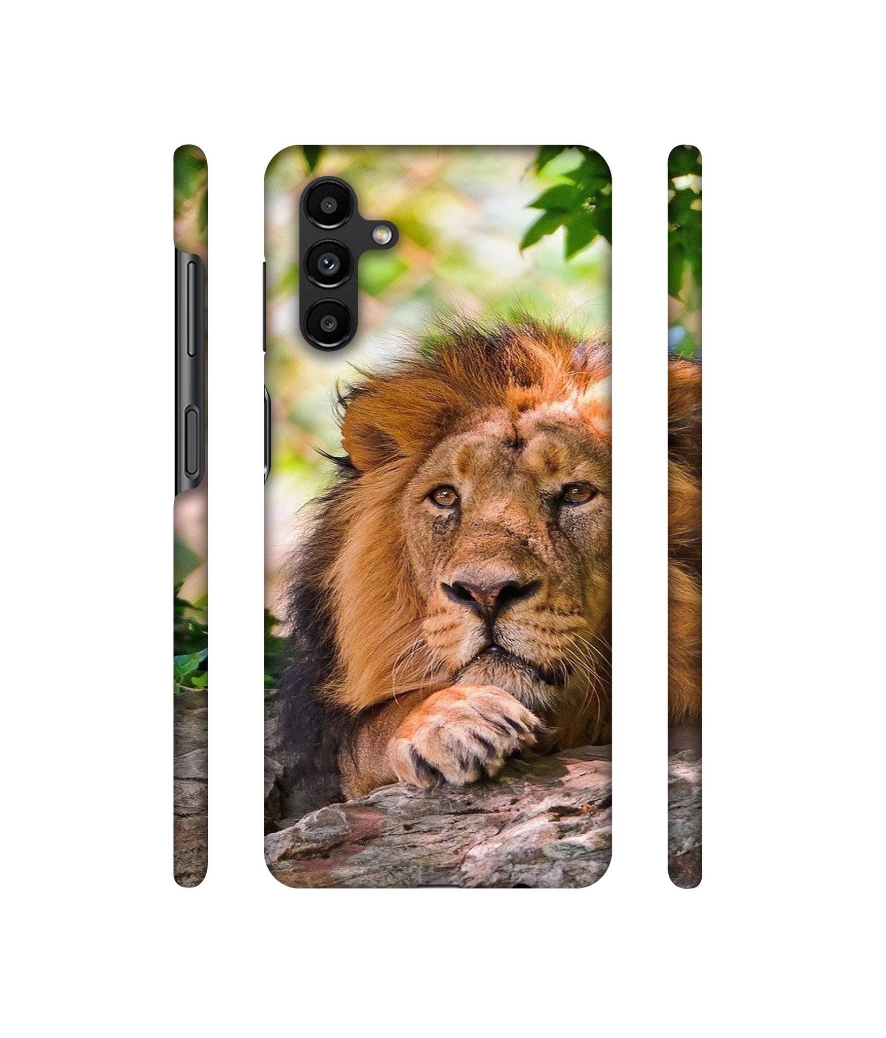 Tiger Pattern Print Designer Hard Back Cover for Samsung Galaxy A13 5G