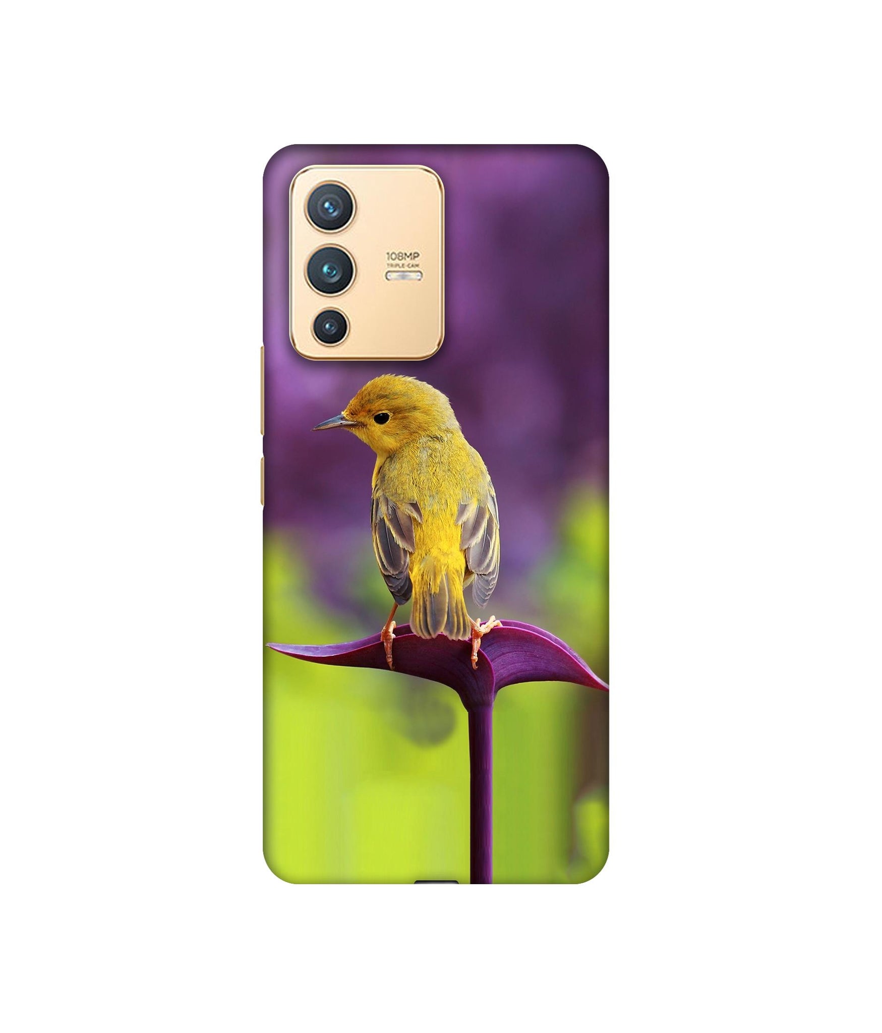 Vivo V23 5G