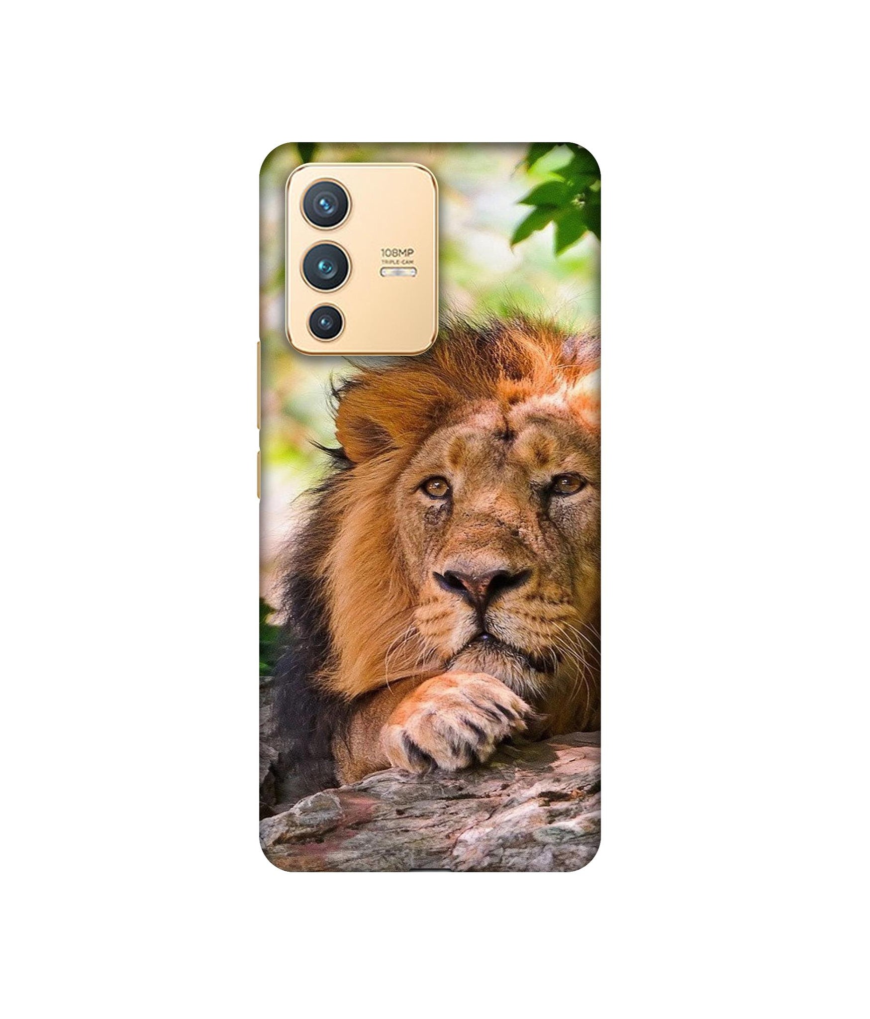 Vivo V23 5G