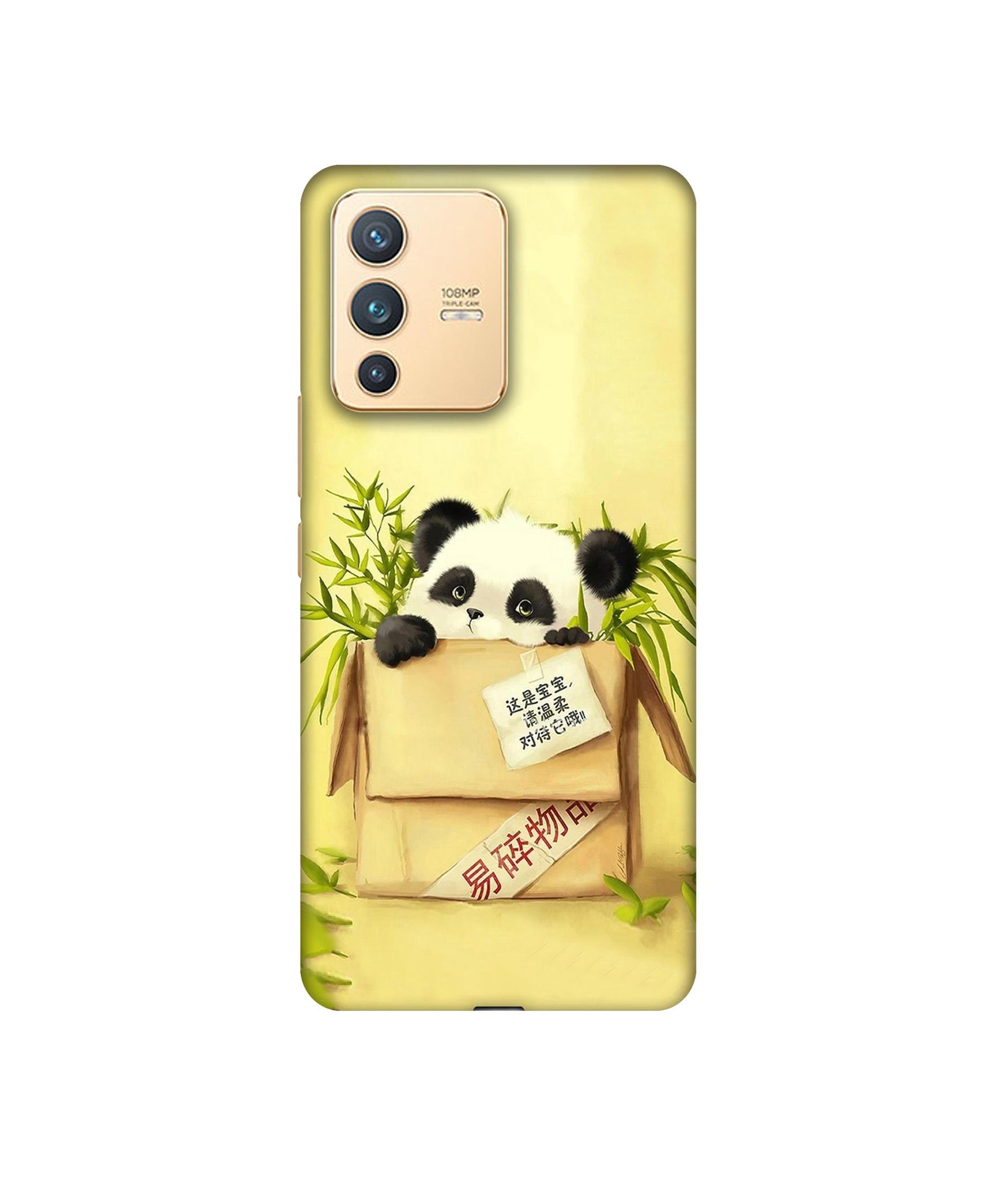 Vivo V23 5G