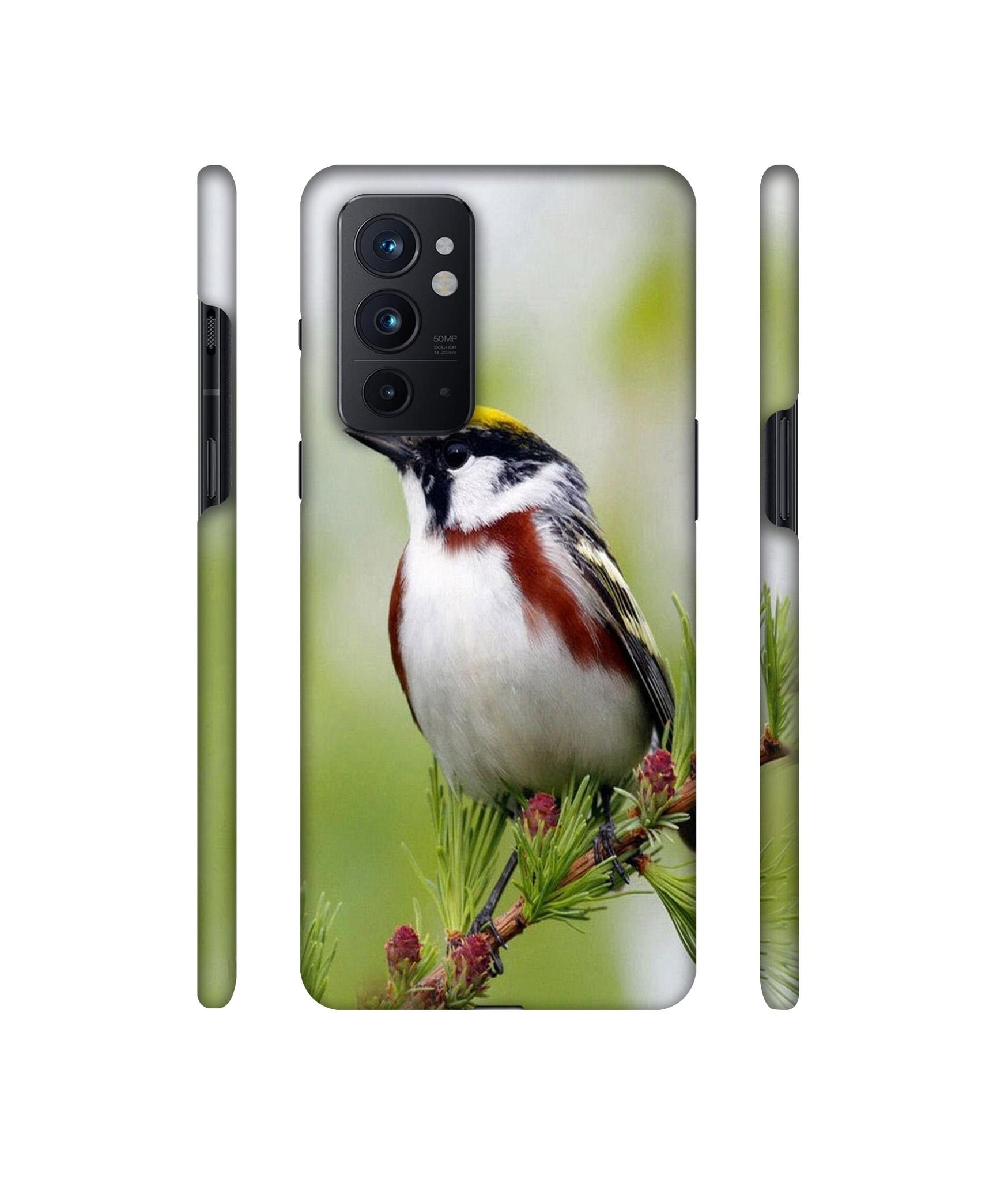 Bird Pattern Designer Hard Back Cover for OnePlus 9RT 5G