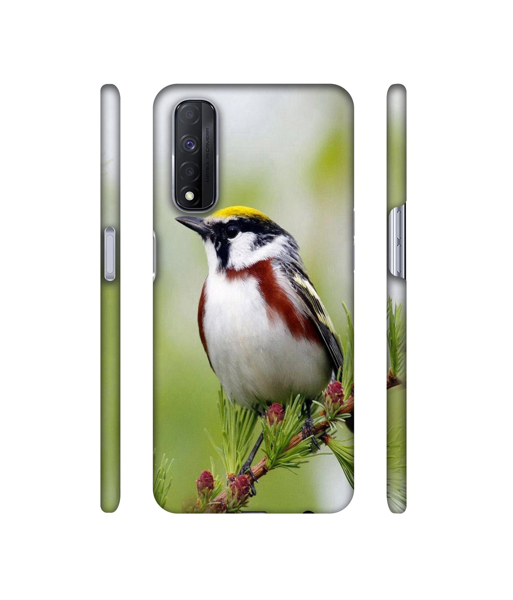Bird Pattern Designer Hard Back Cover for Realme Narzo 30 4G