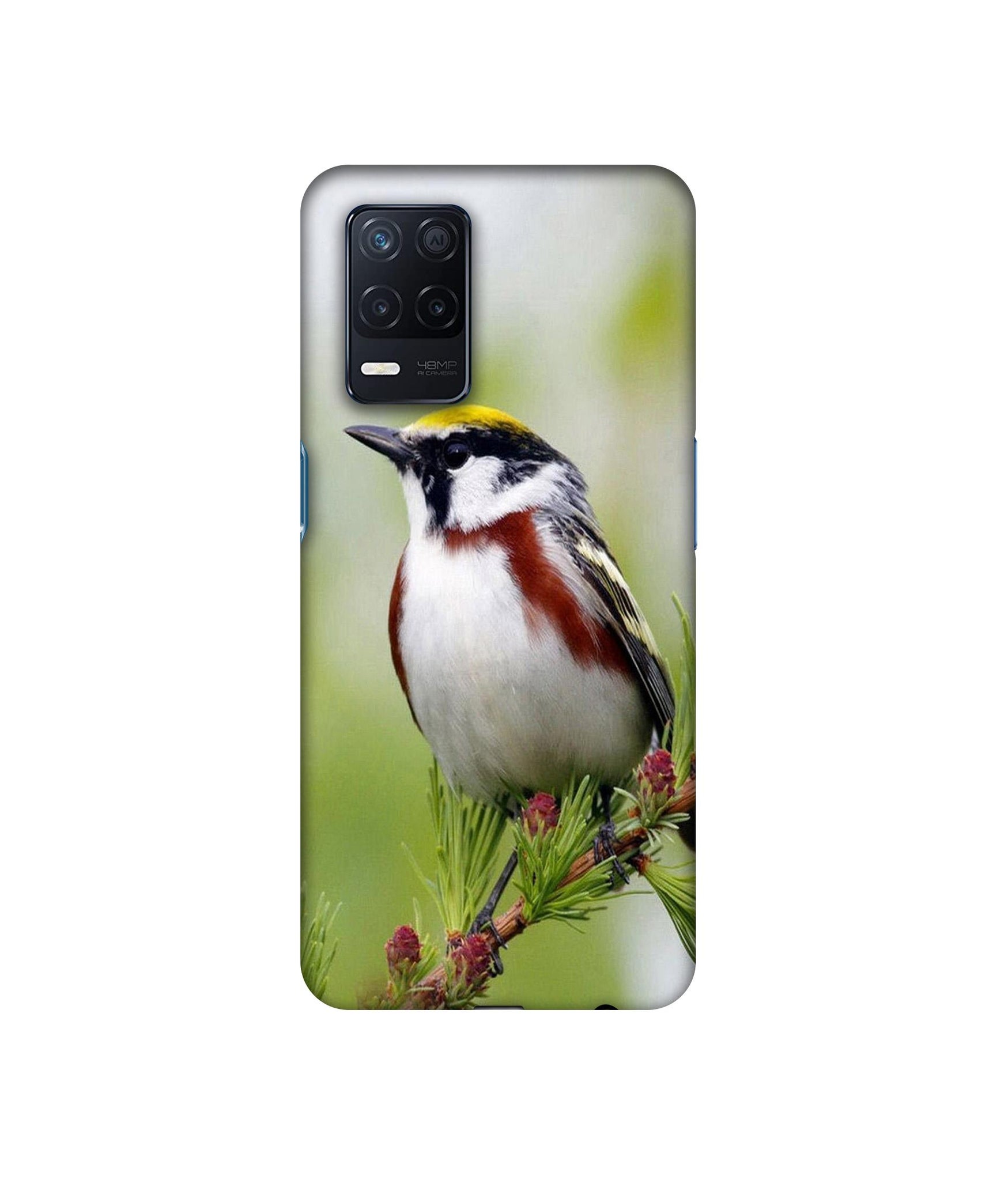 Realme Narzo 30 5G
