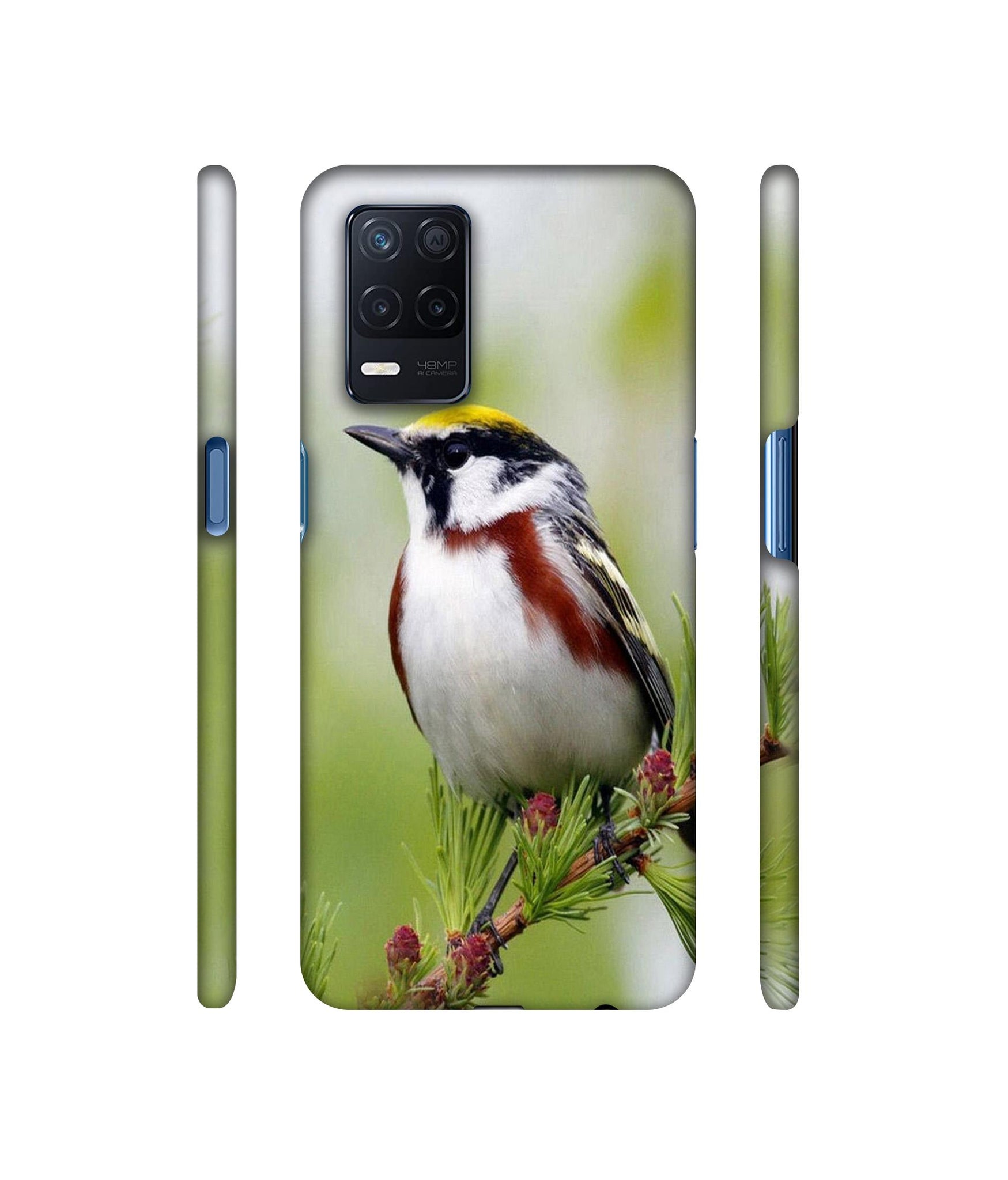 Bird Pattern Designer Hard Back Cover for Realme Narzo 30 5G