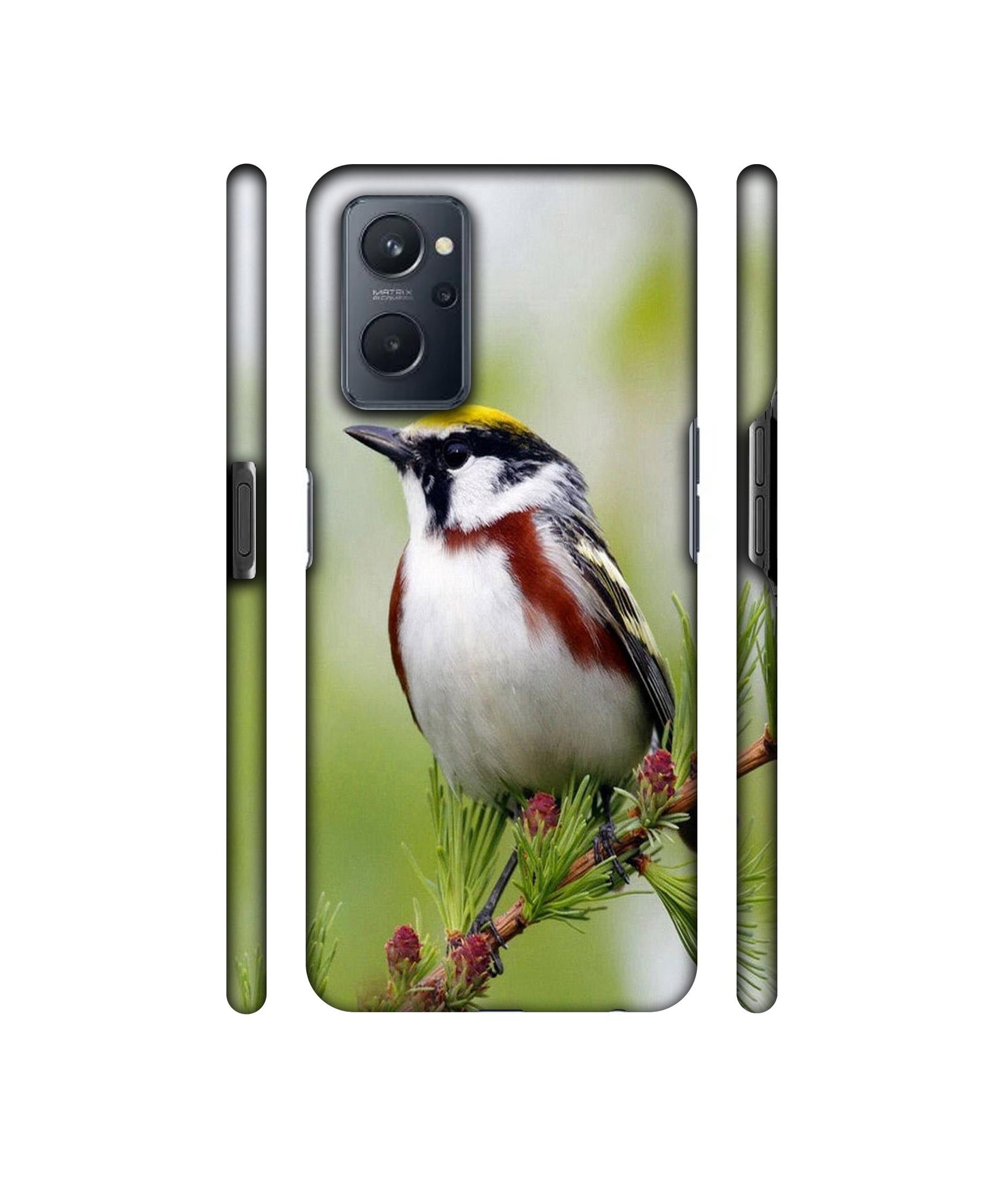 Bird Pattern Designer Hard Back Cover for Realme 9i 4G