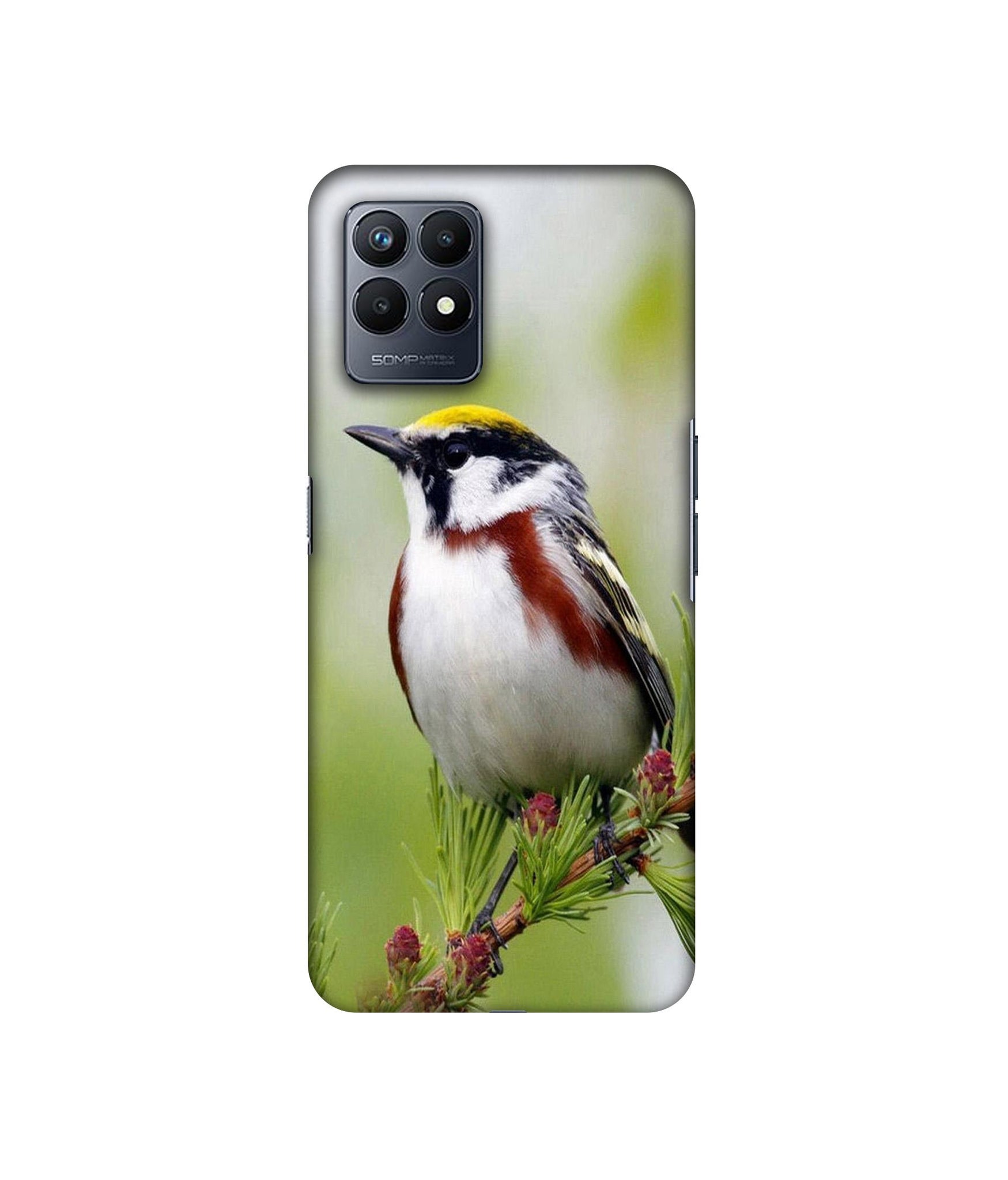 Realme Narzo 50