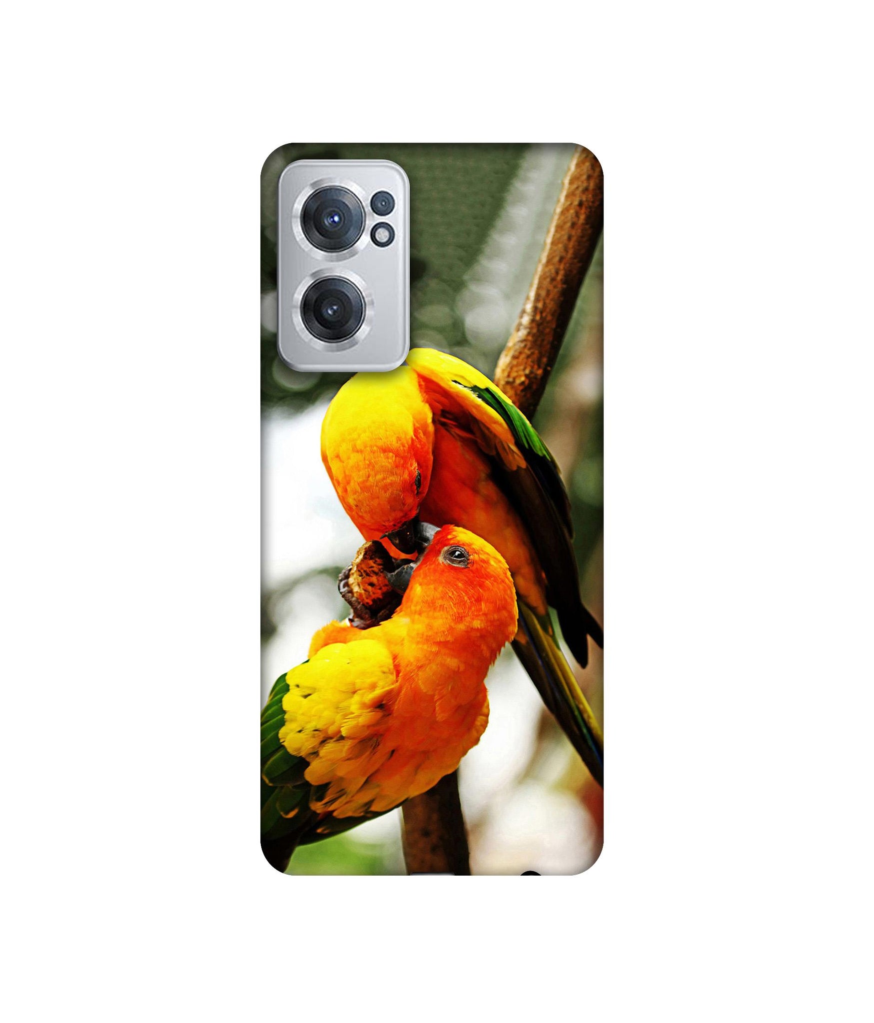 OnePlus Nord CE 2 5G