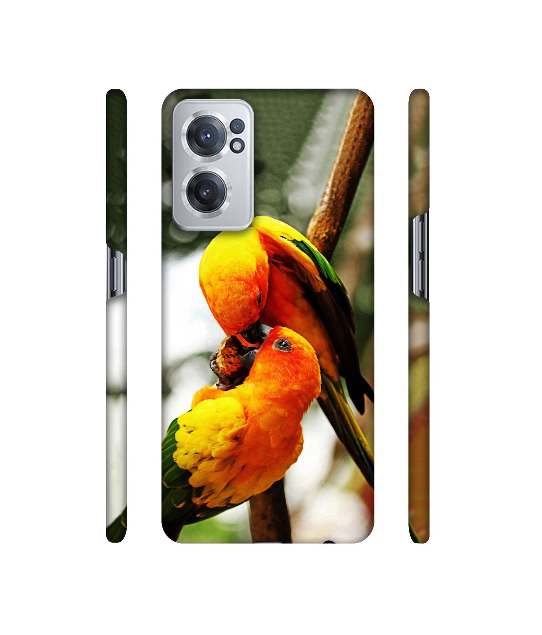 Love Bards Designer Hard Back Cover for OnePlus Nord CE 2 5G