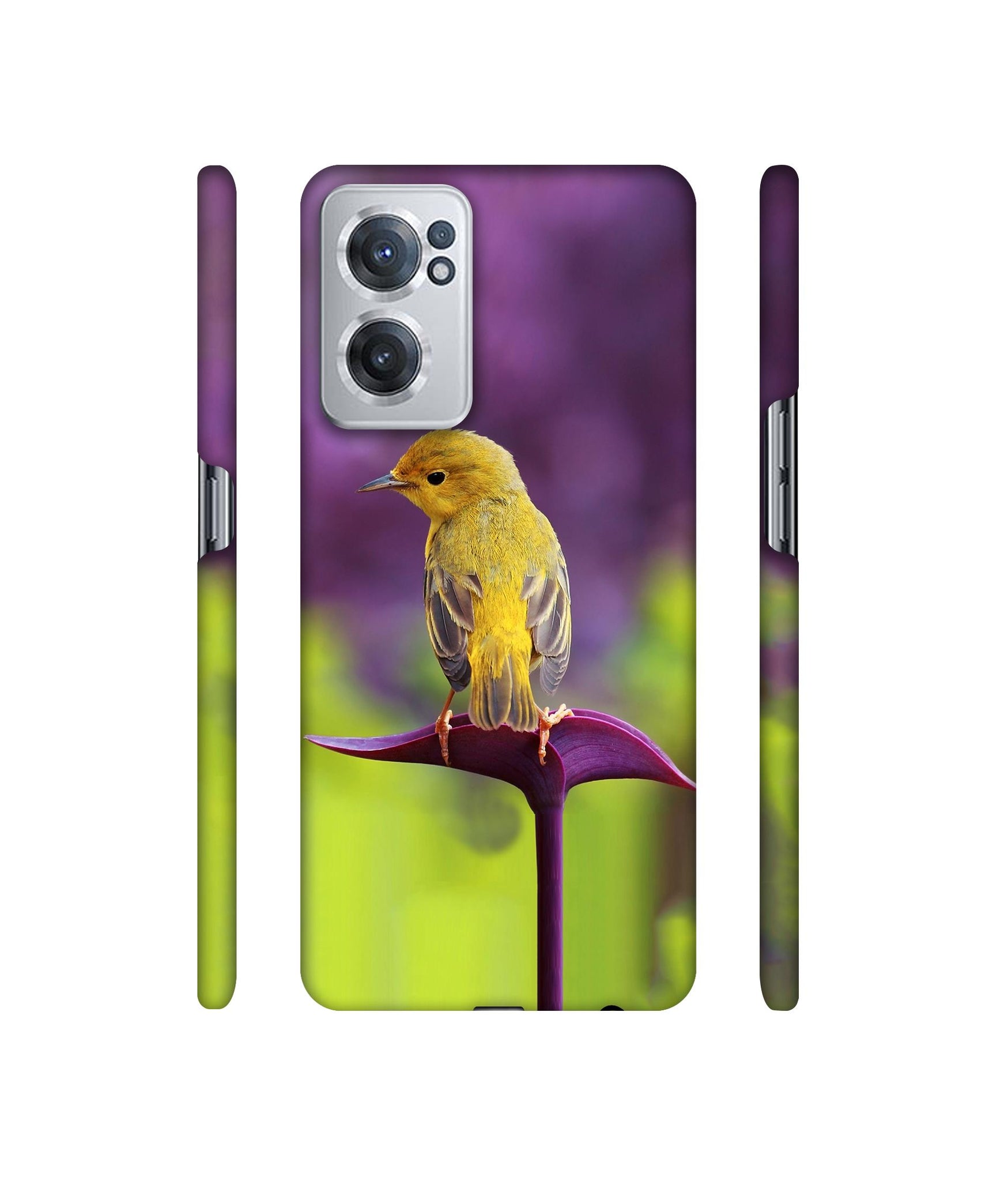 Little Bird Designer Hard Back Cover for OnePlus Nord CE 2 5G