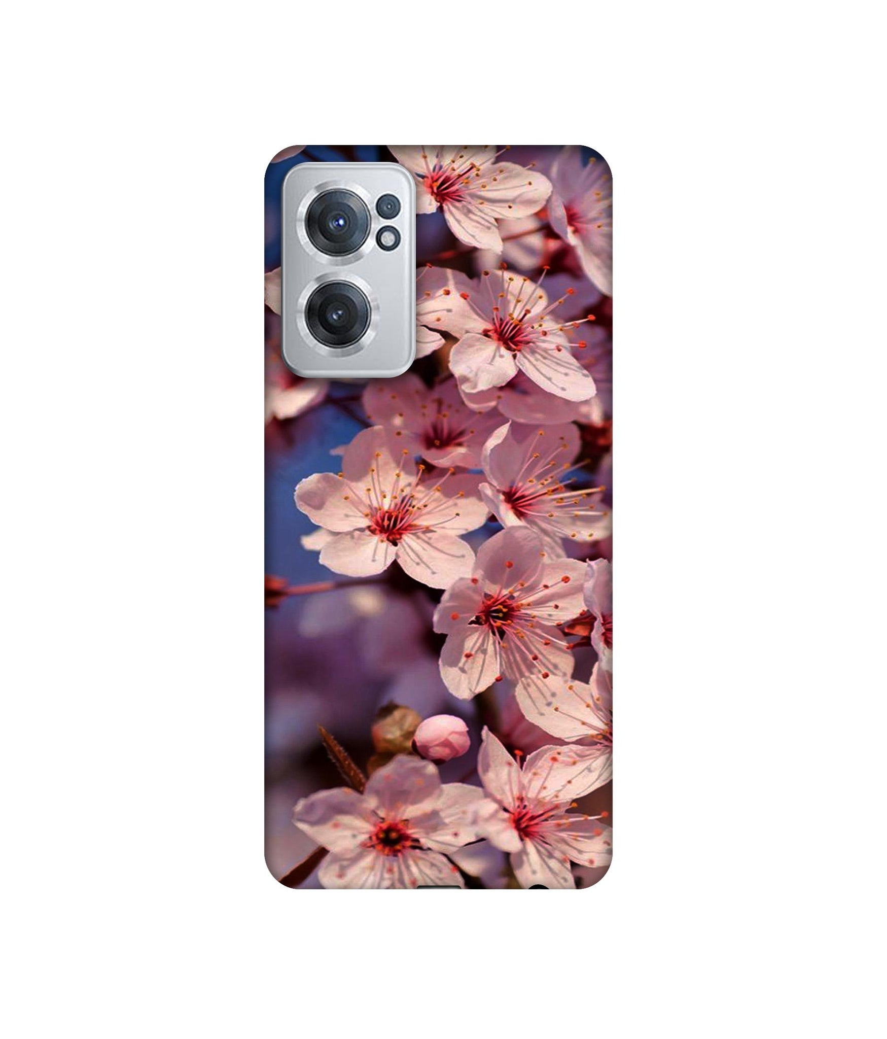 OnePlus Nord CE 2 5G