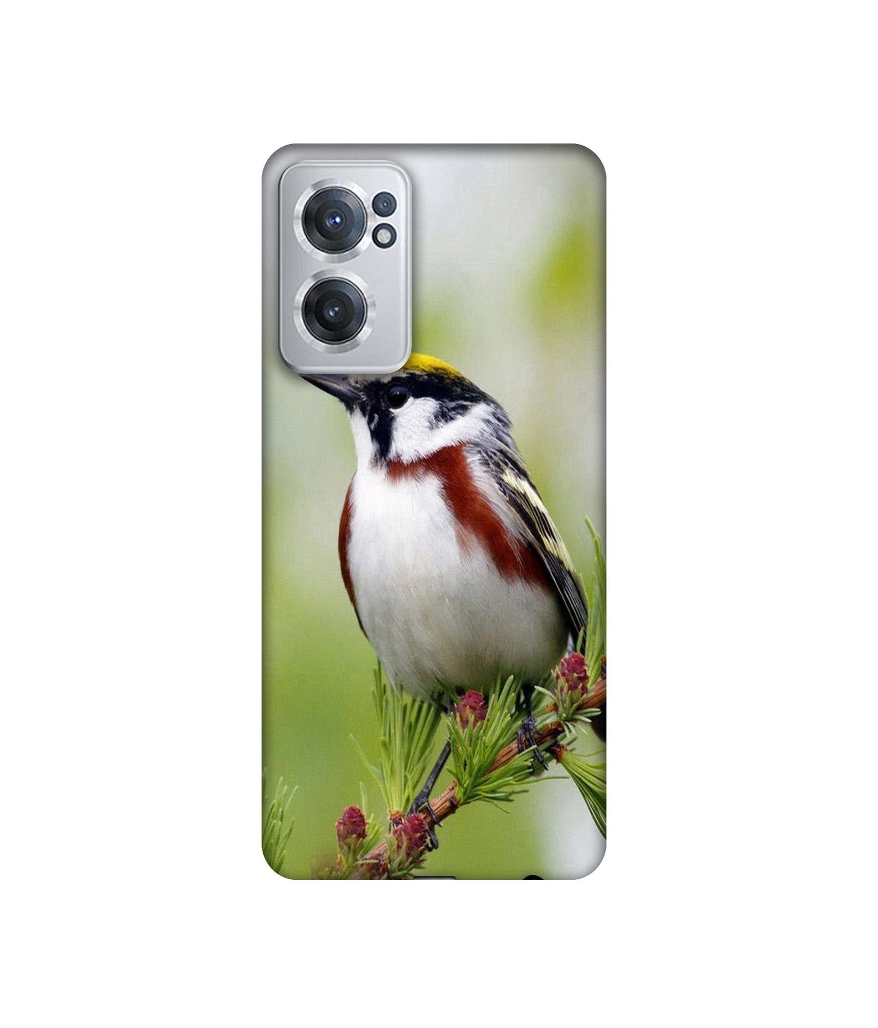 OnePlus Nord CE 2 5G