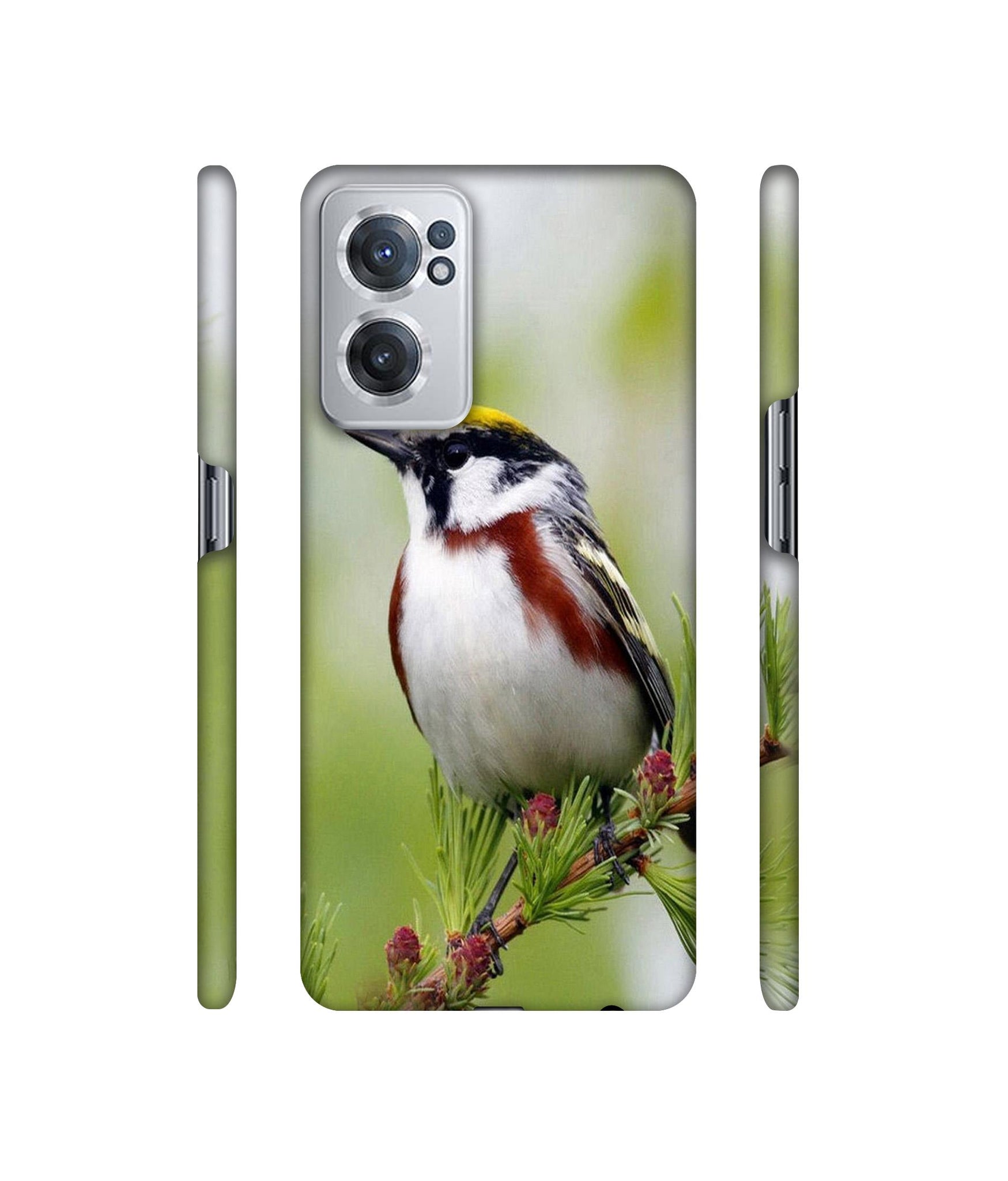 Bird Pattern Designer Hard Back Cover for OnePlus Nord CE 2 5G