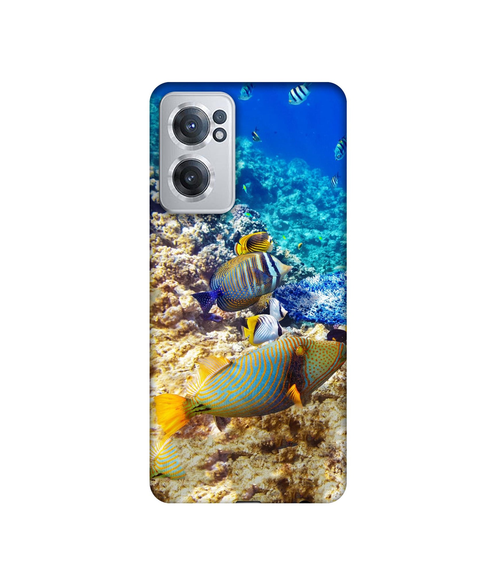 OnePlus Nord CE 2 5G