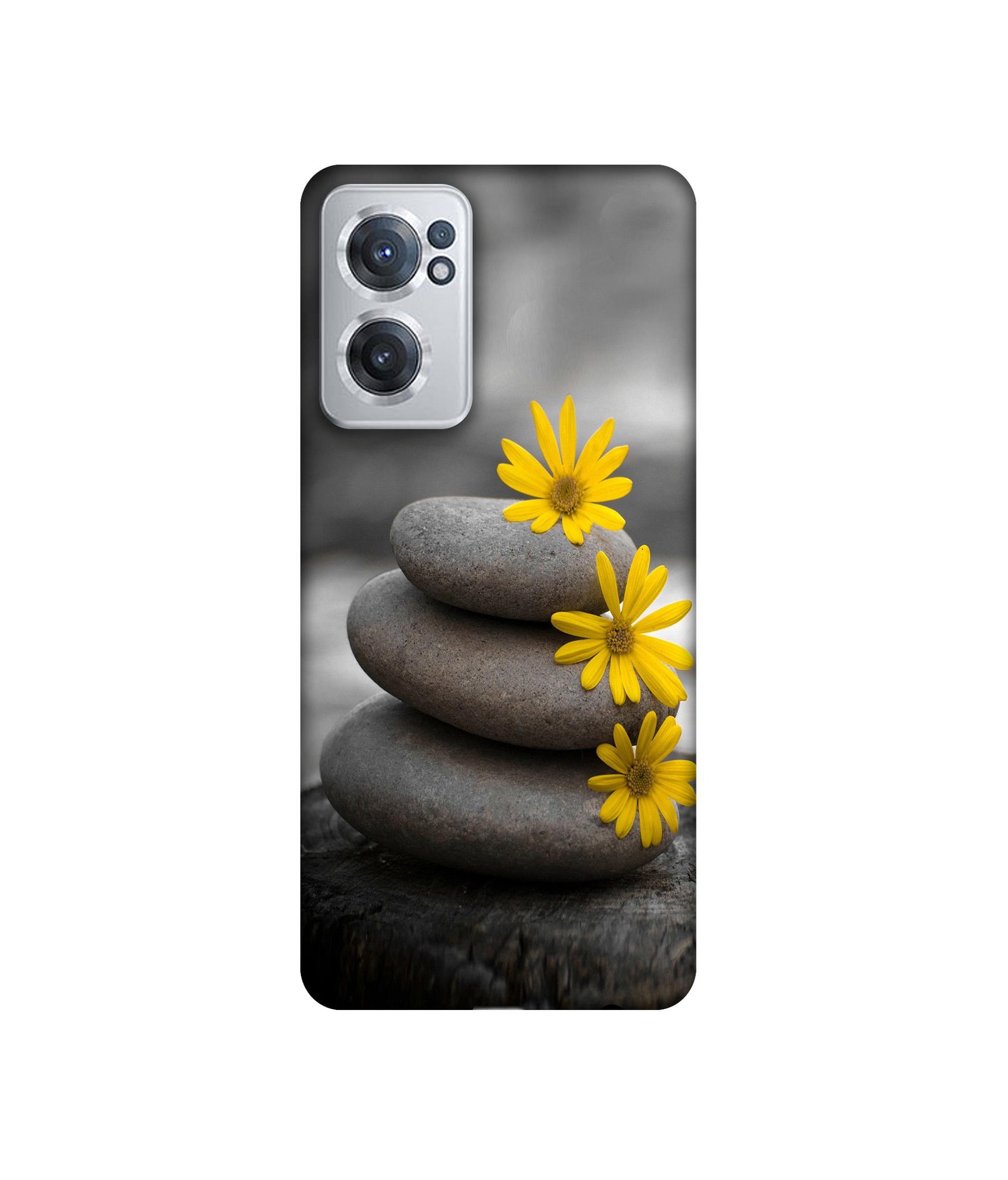 OnePlus Nord CE 2 5G